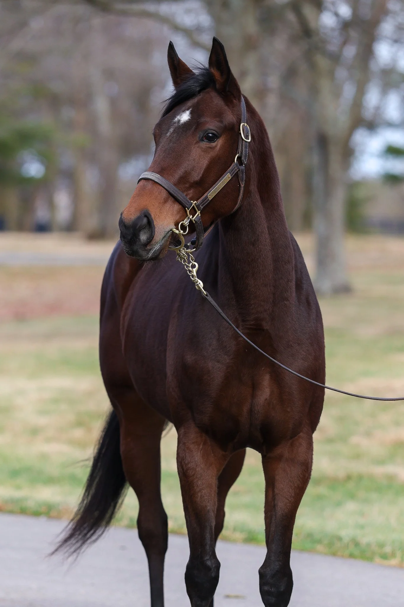 23 Promise to be True HS 1.13.26. 2.jpg