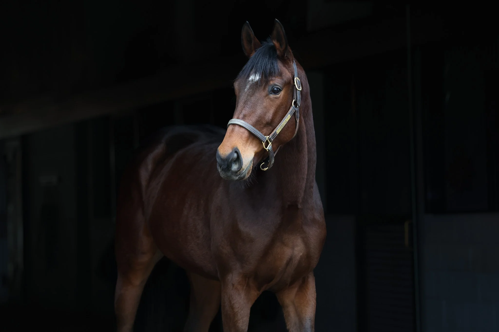 23 Promise to be True HS 1.13.26.jpg