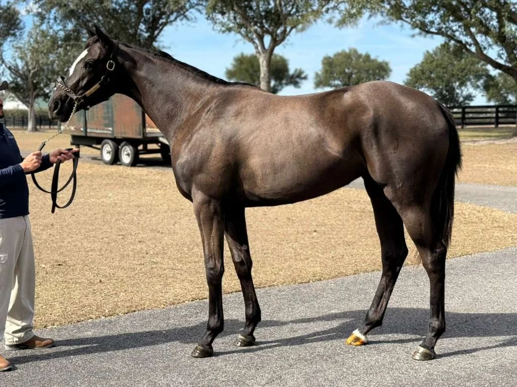 WhatsApp Image 2026-01-21 at 14.59.28.jpeg