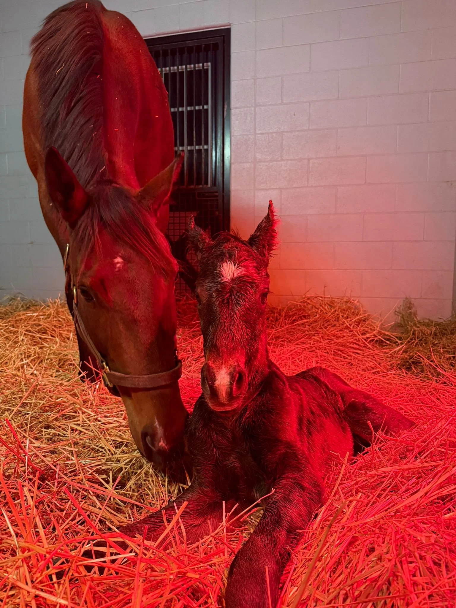 WhatsApp Image 2026-02-08 at 13.25.17.jpeg