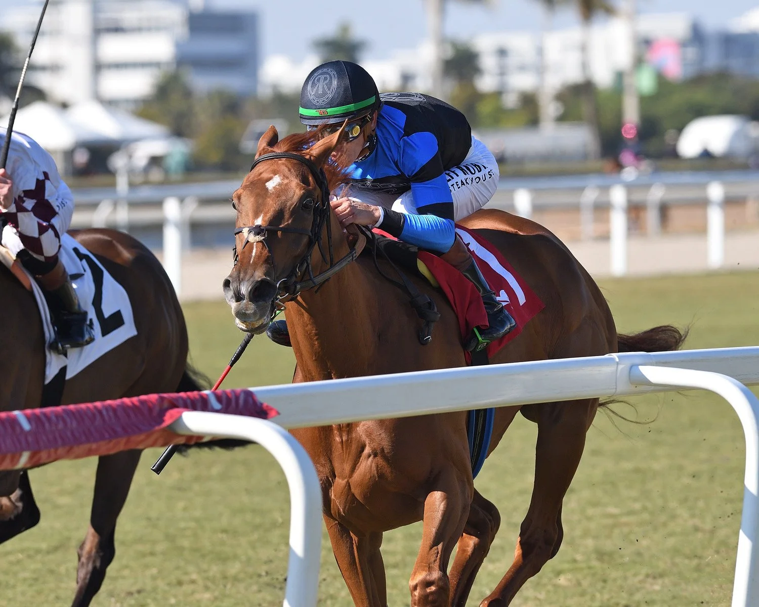  Gulfstream Feb 2026 Win  Photo by Coglianese 