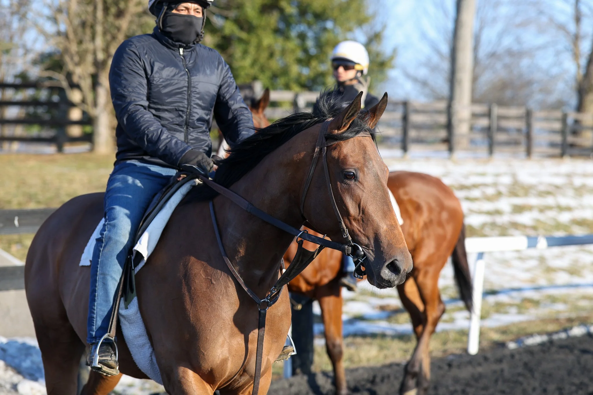 Glamorize TR 2.10.26 2.jpg