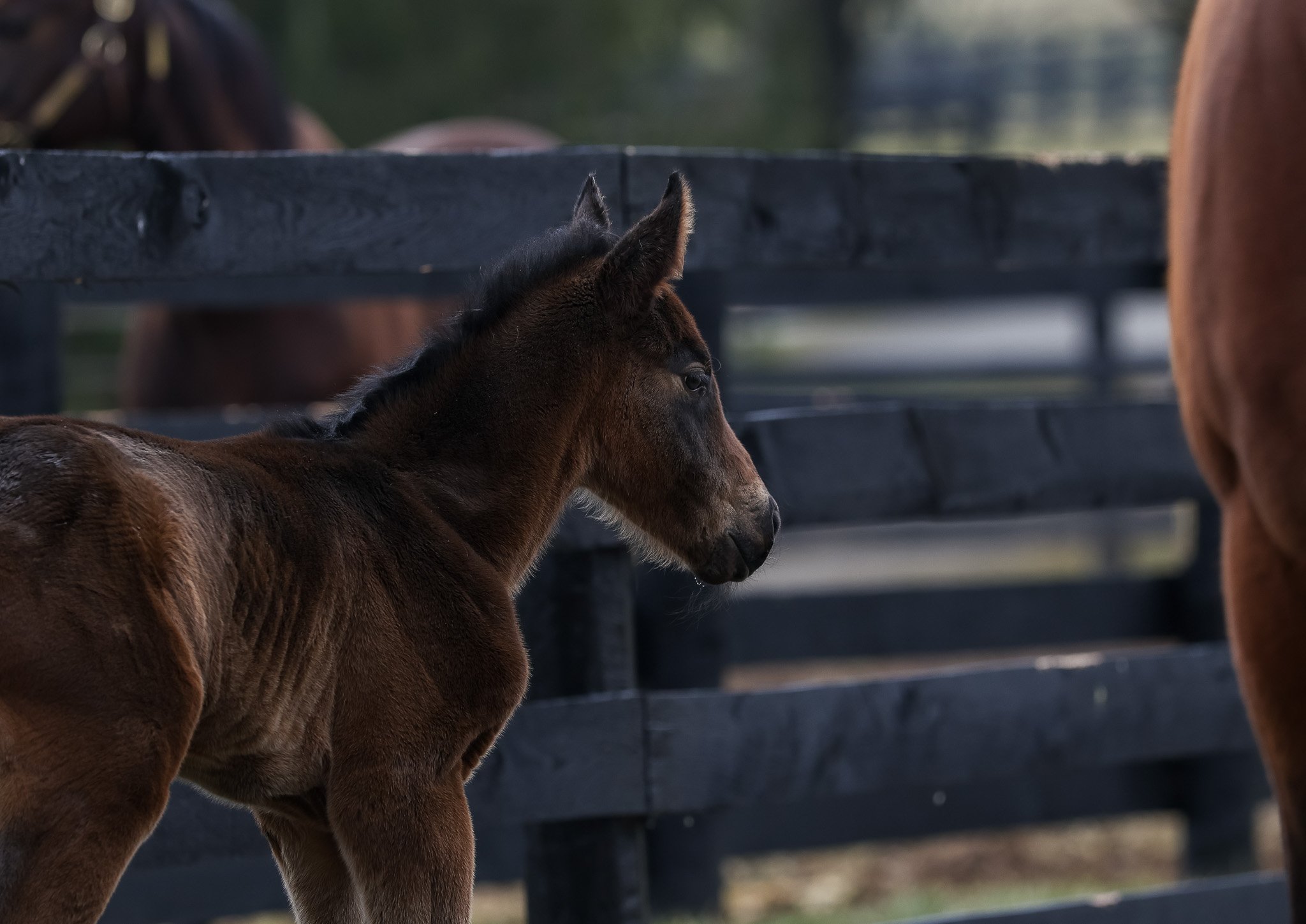 26 Russiarussiarussia PP 2.16.26  .2.jpg