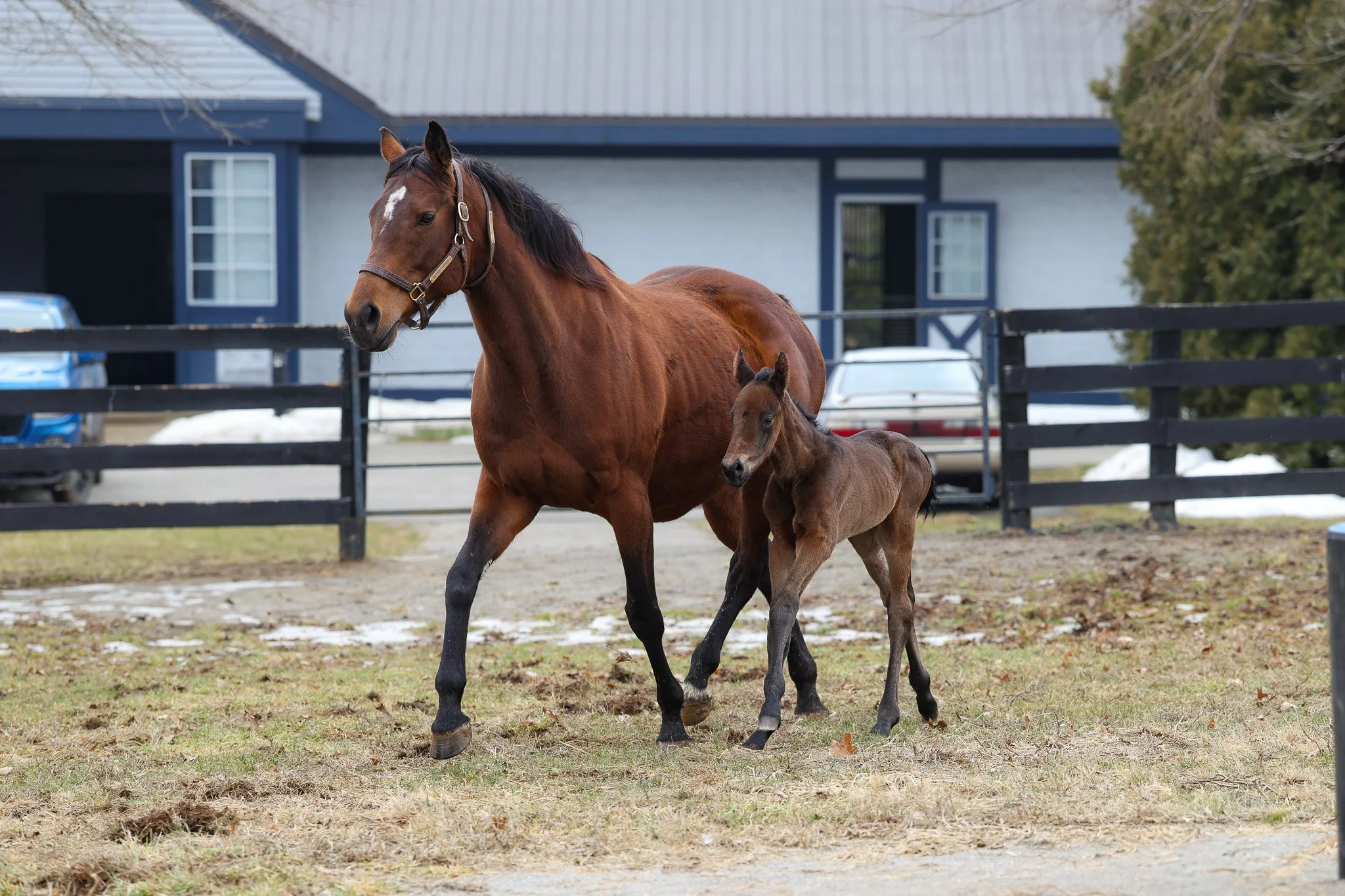 26 Russiarussiarussia PP 2.16.26  .4.jpg