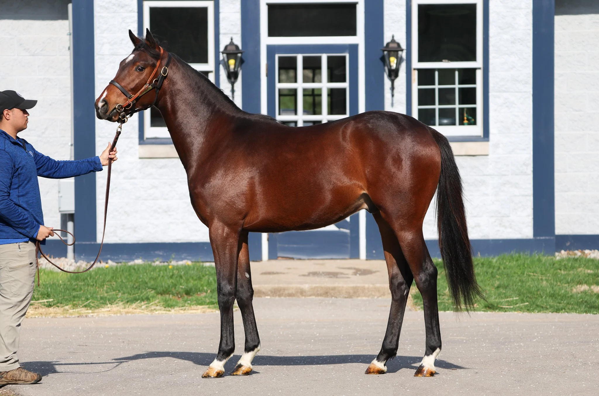 23 Resolved 4.2.25.jpg