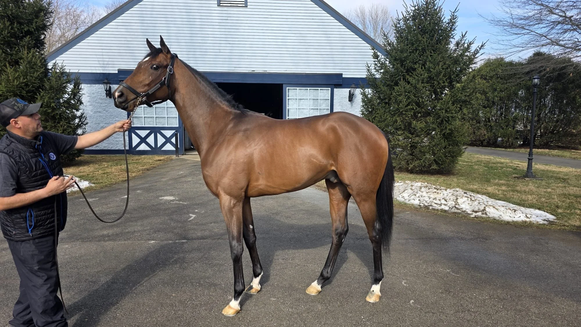 WhatsApp Image 2026-02-16 at 16.09.56.jpeg