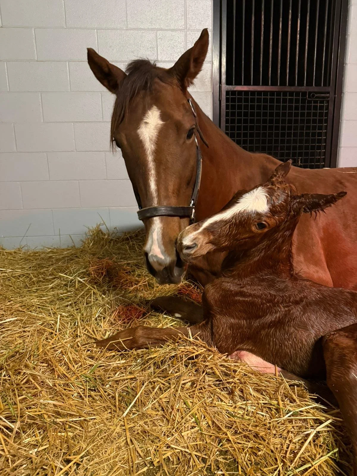 WhatsApp Image 2026-02-19 at 11.21.05 (1).jpeg