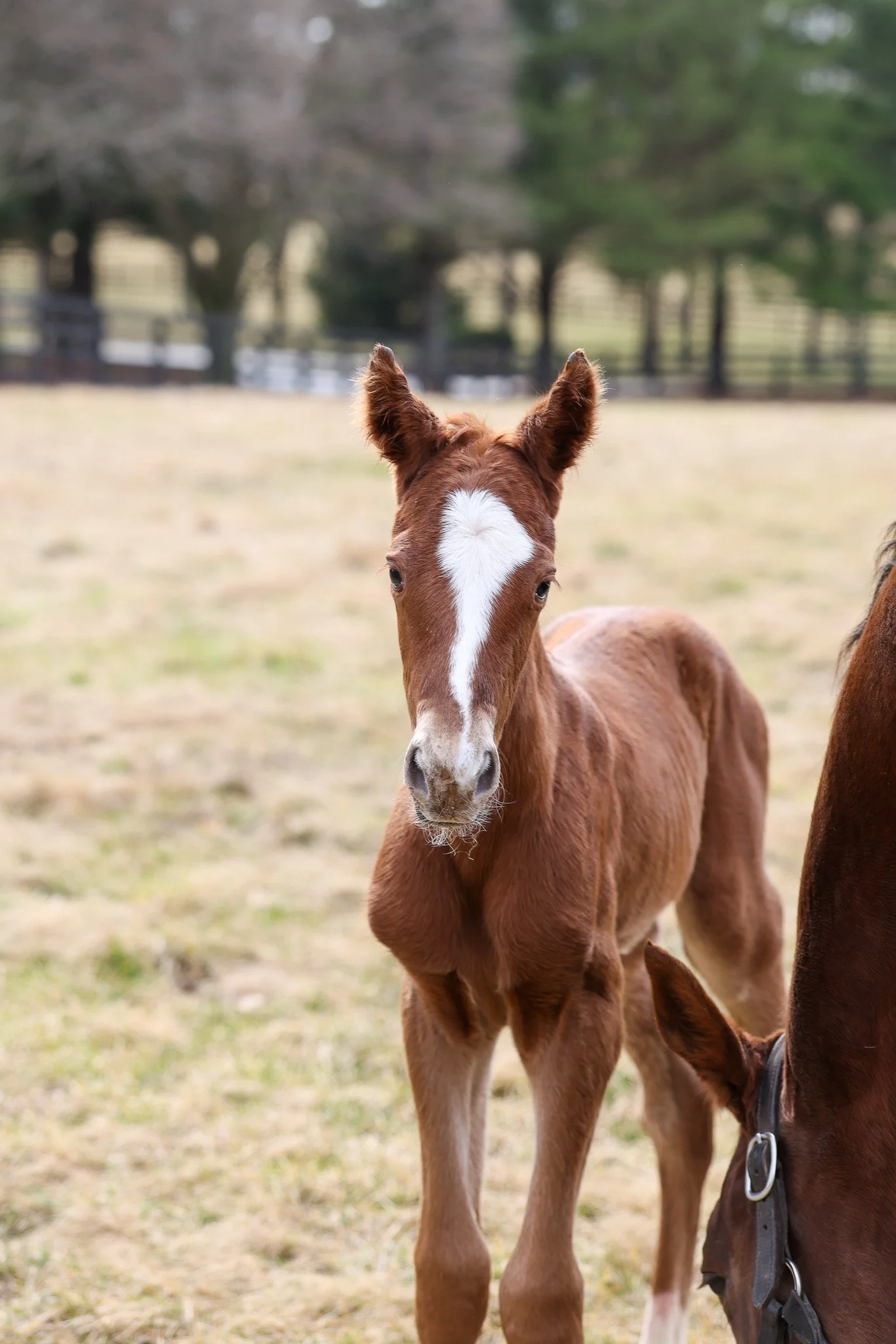 26 Her Holy Name PP 2.19.26  .7.jpg