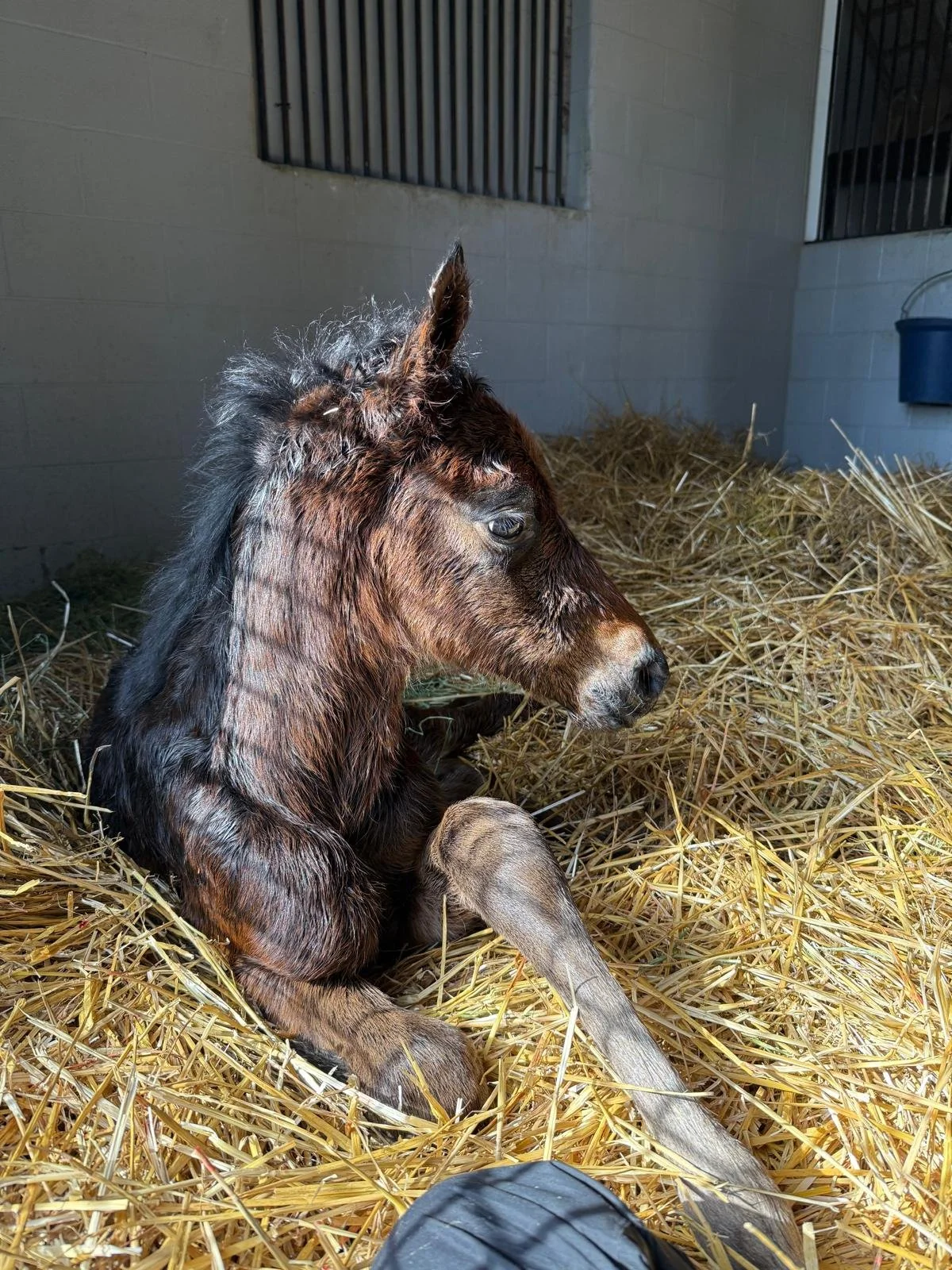 Complexity / Smokie Eyes