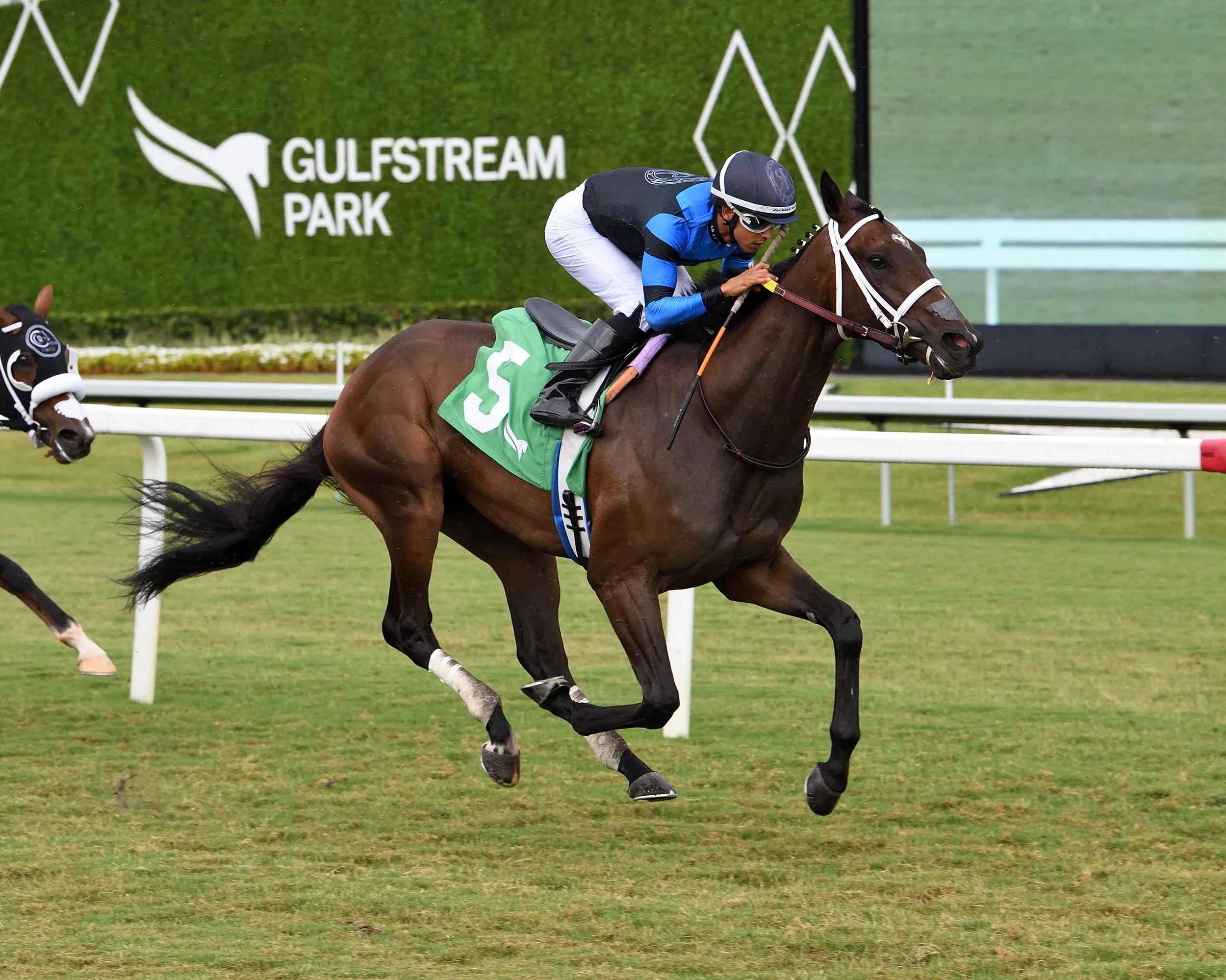 Basilea credit Ryan Thompson.jpg