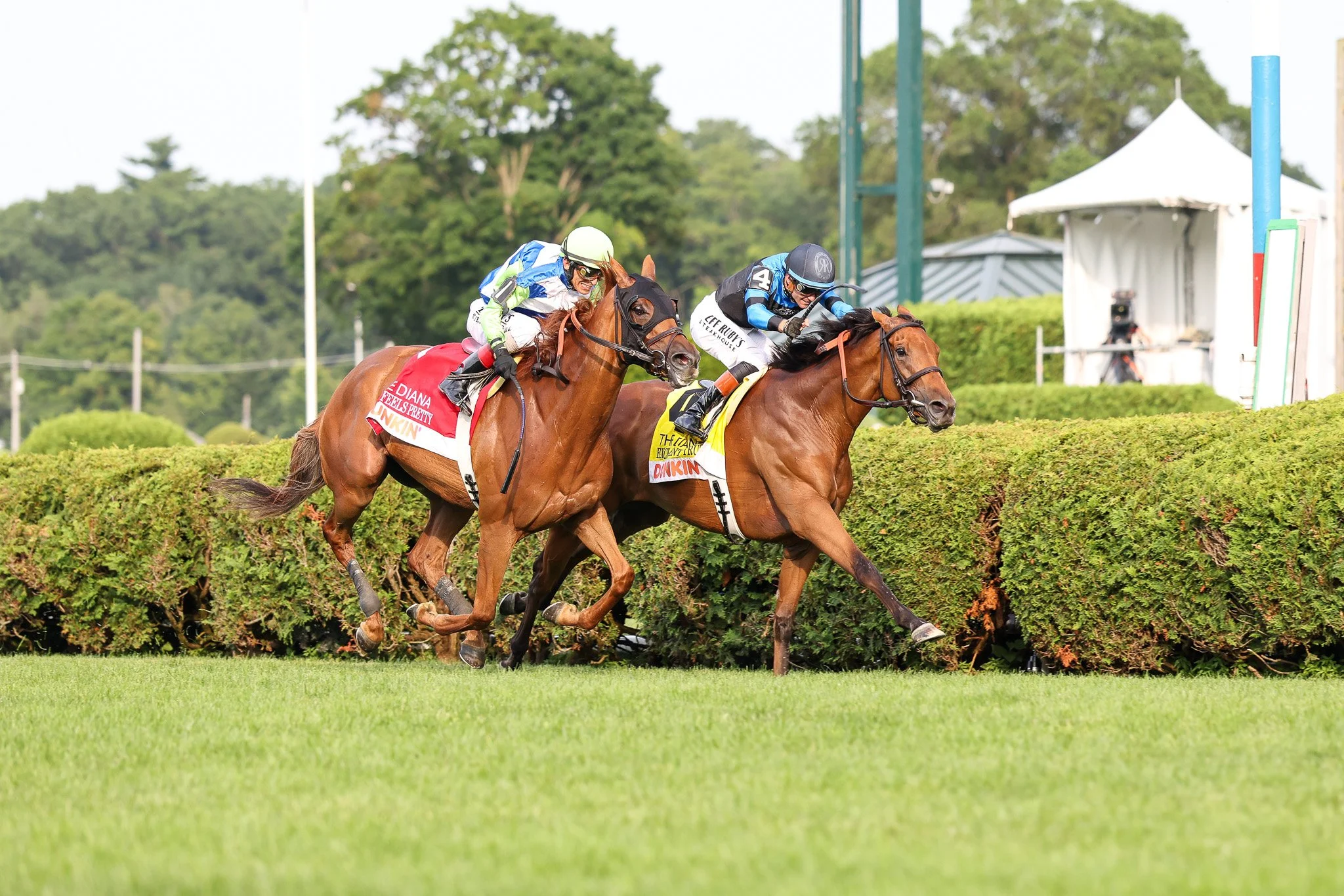 Graded Stakes Winners