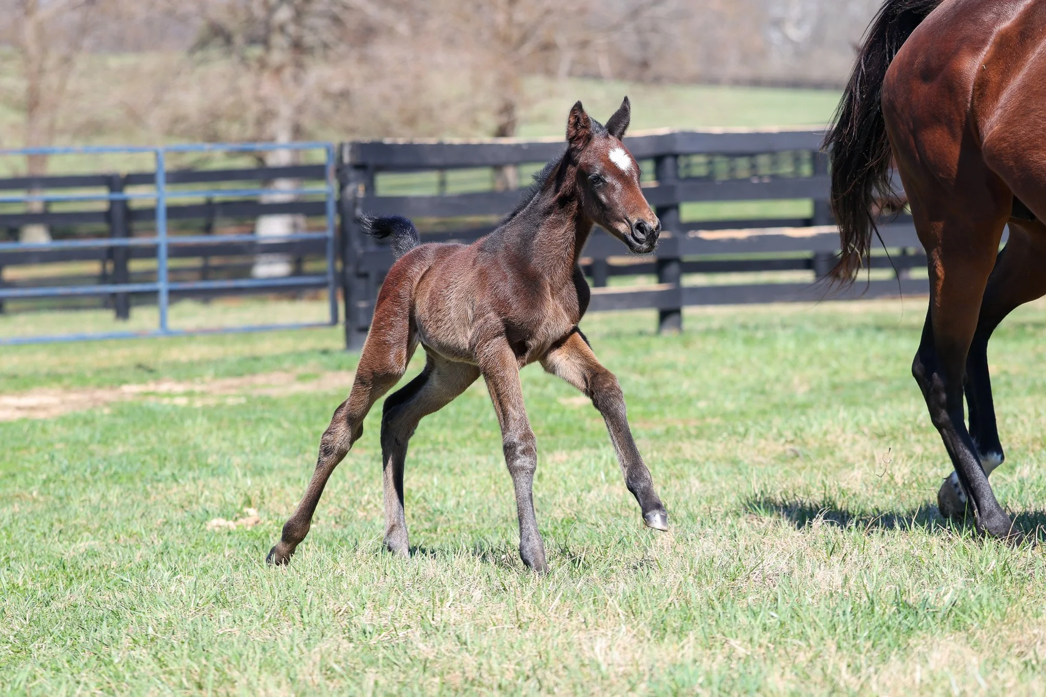 26 Quick Romance PP 3.9.26. 2.jpg