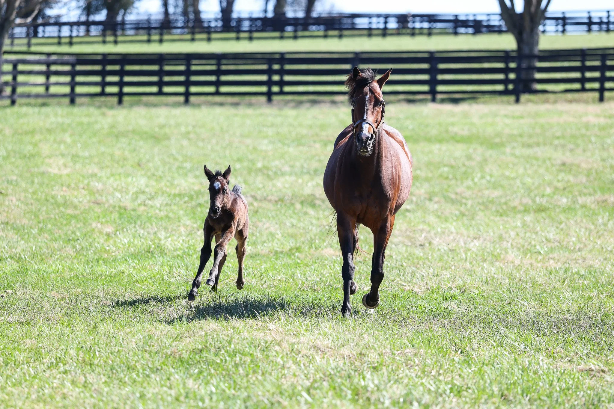 26 Quick Romance PP 3.9.26. 4.jpg