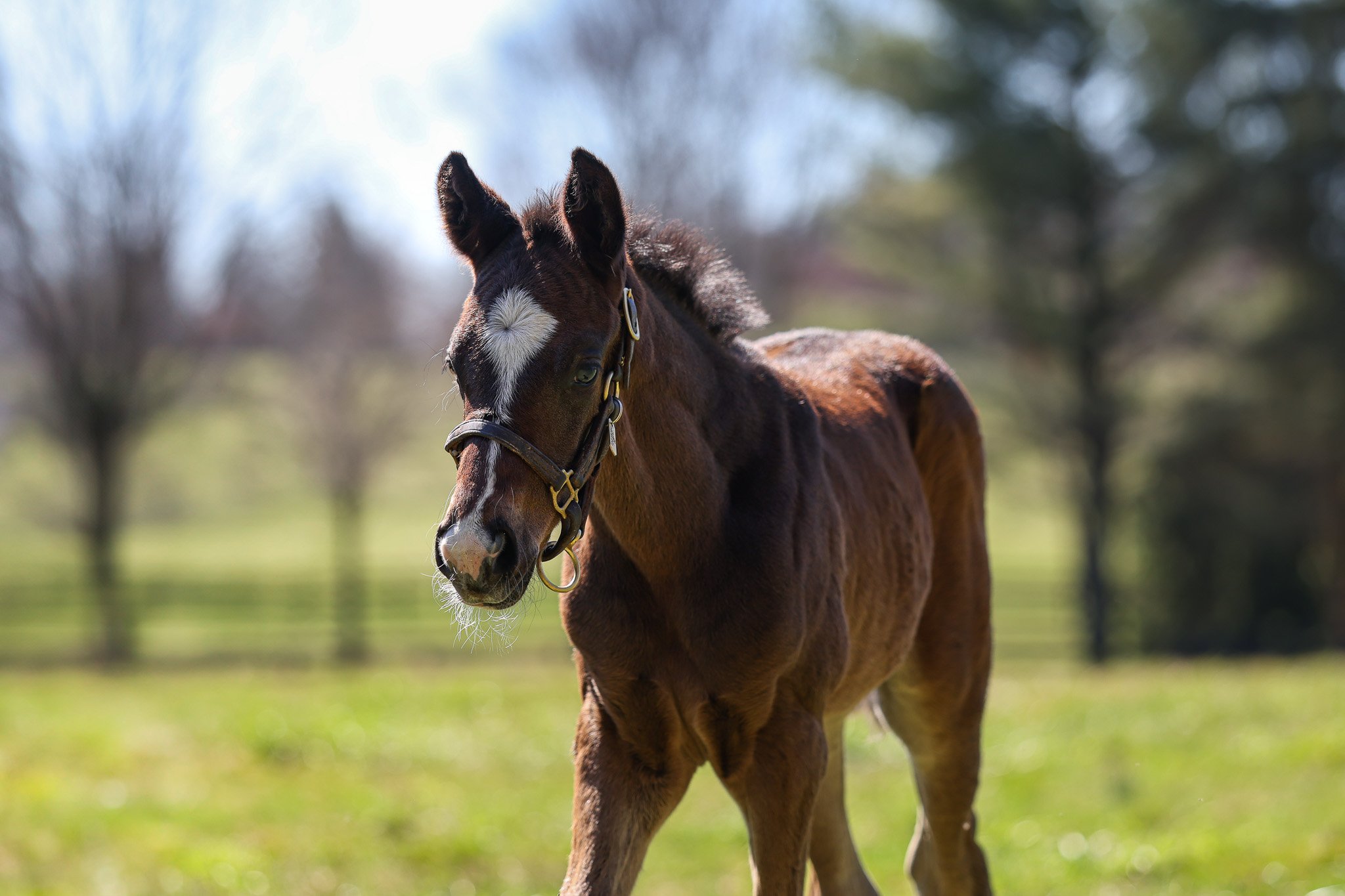 26 Purely Priceless PP 3.9.26  2.jpg