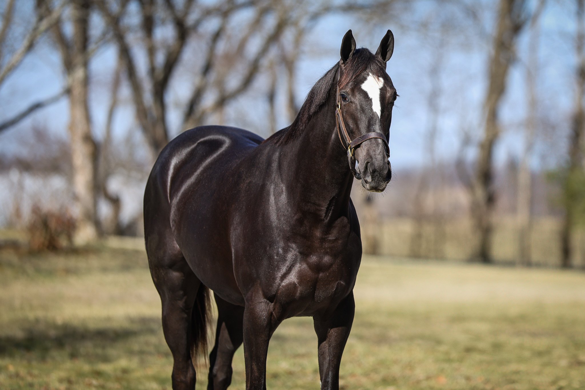 24 Photo Call HS 2.27.26.jpg