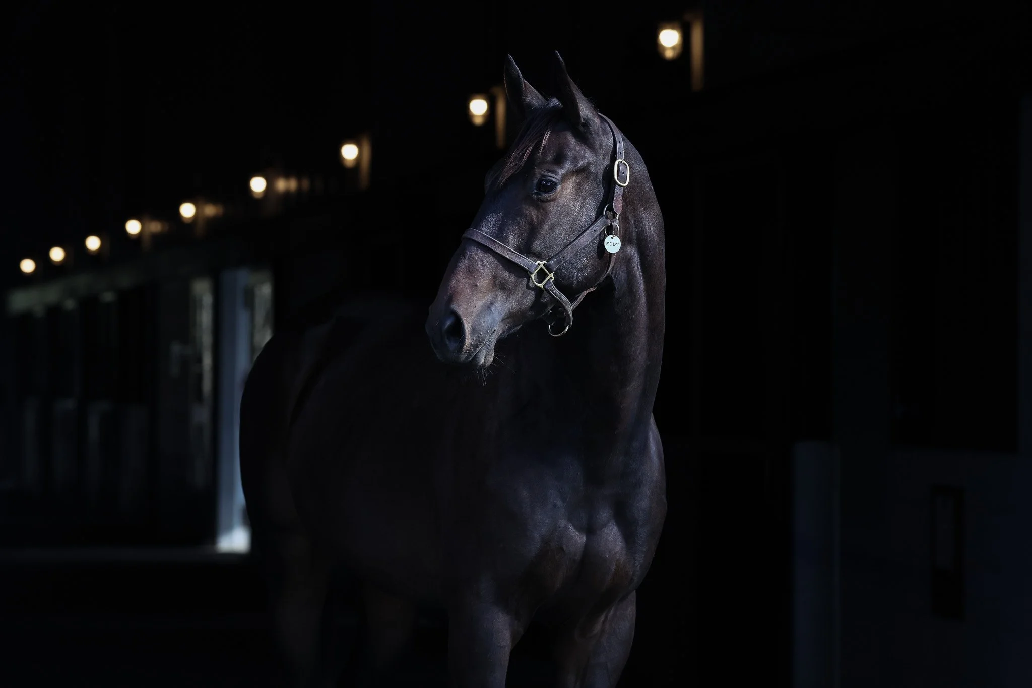 Eddy HS 10.21.25.jpg