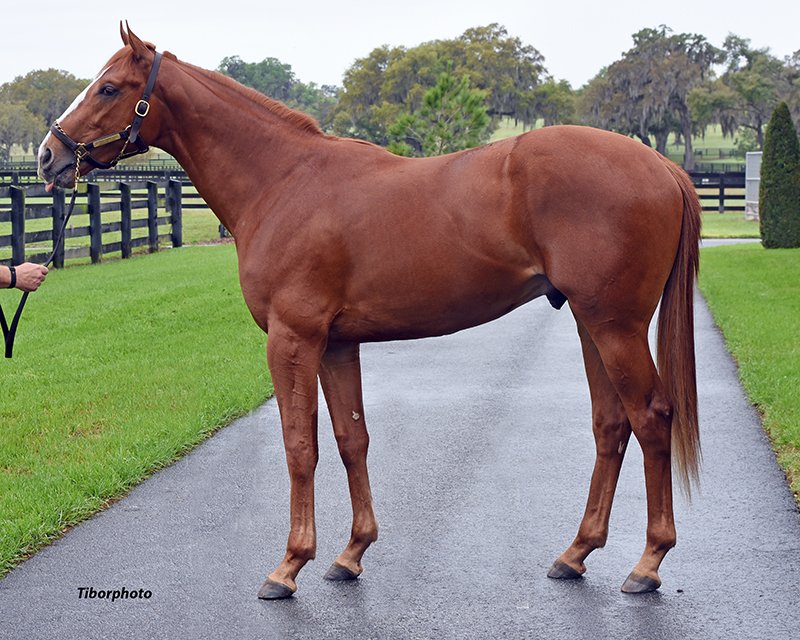 Woodburn 3.14.26. 2.jpg