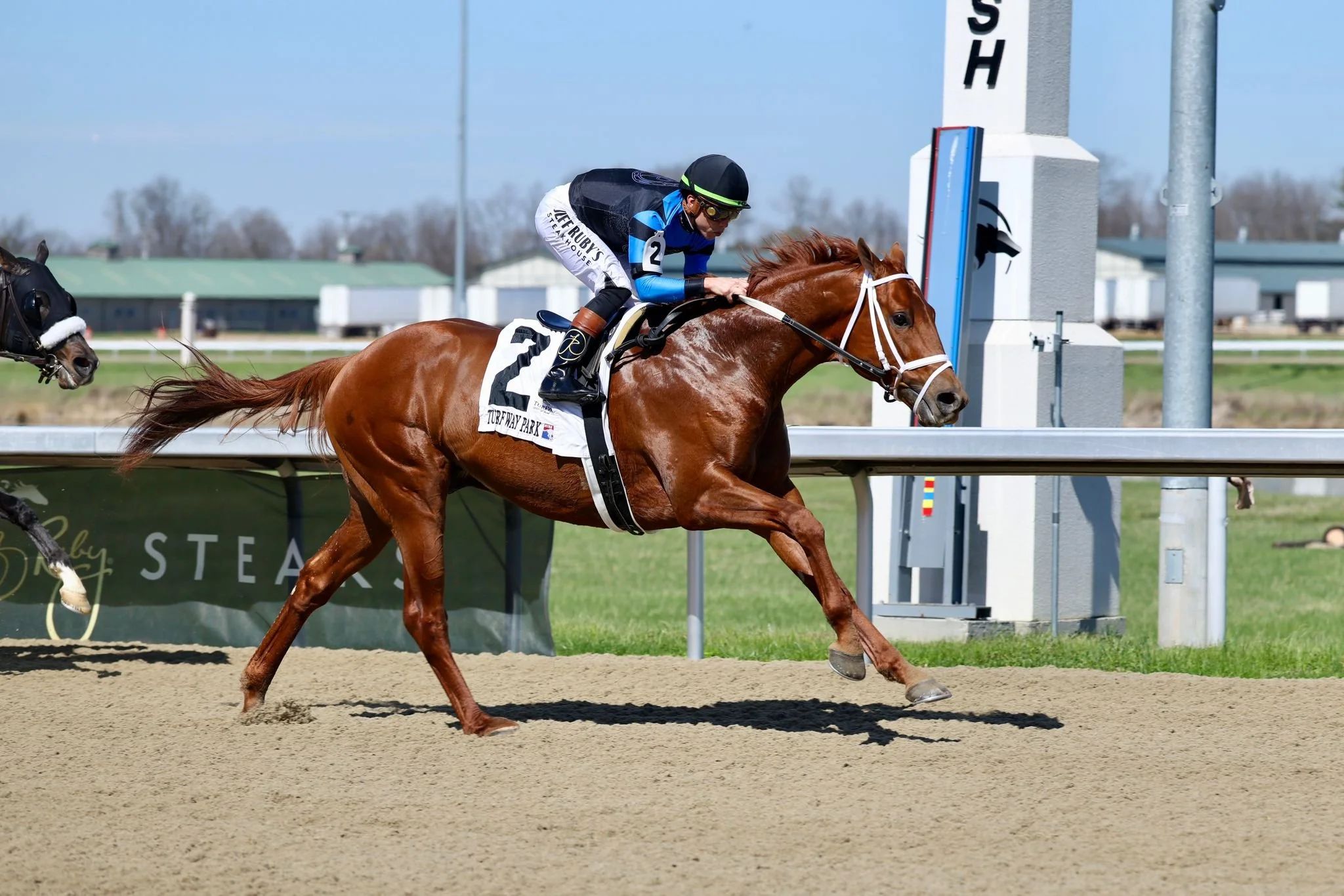 Vekoma Colt, VOLENDAM, Scores on Debut at Turfway