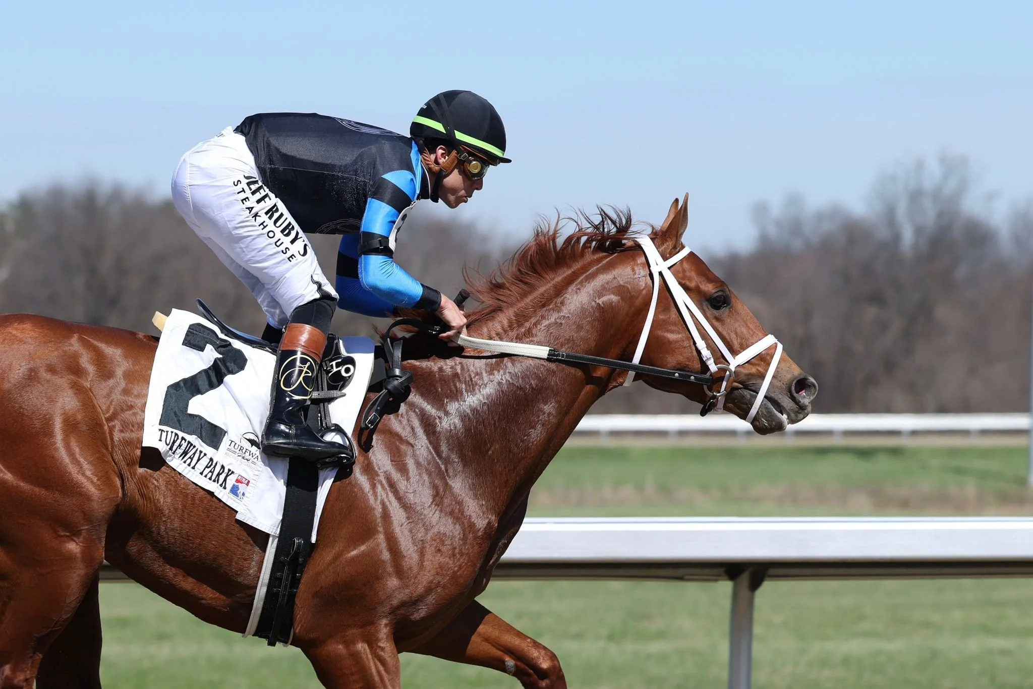 WhatsApp Image 2026-03-21 at 15.18.41 (1).jpeg