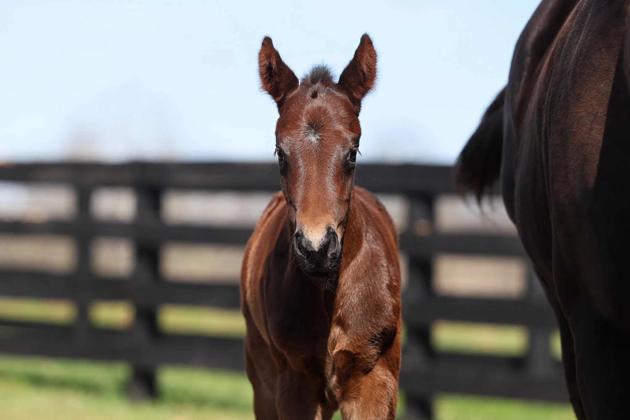 26 Goodnight Olive PP 3.23.26  5.jpg