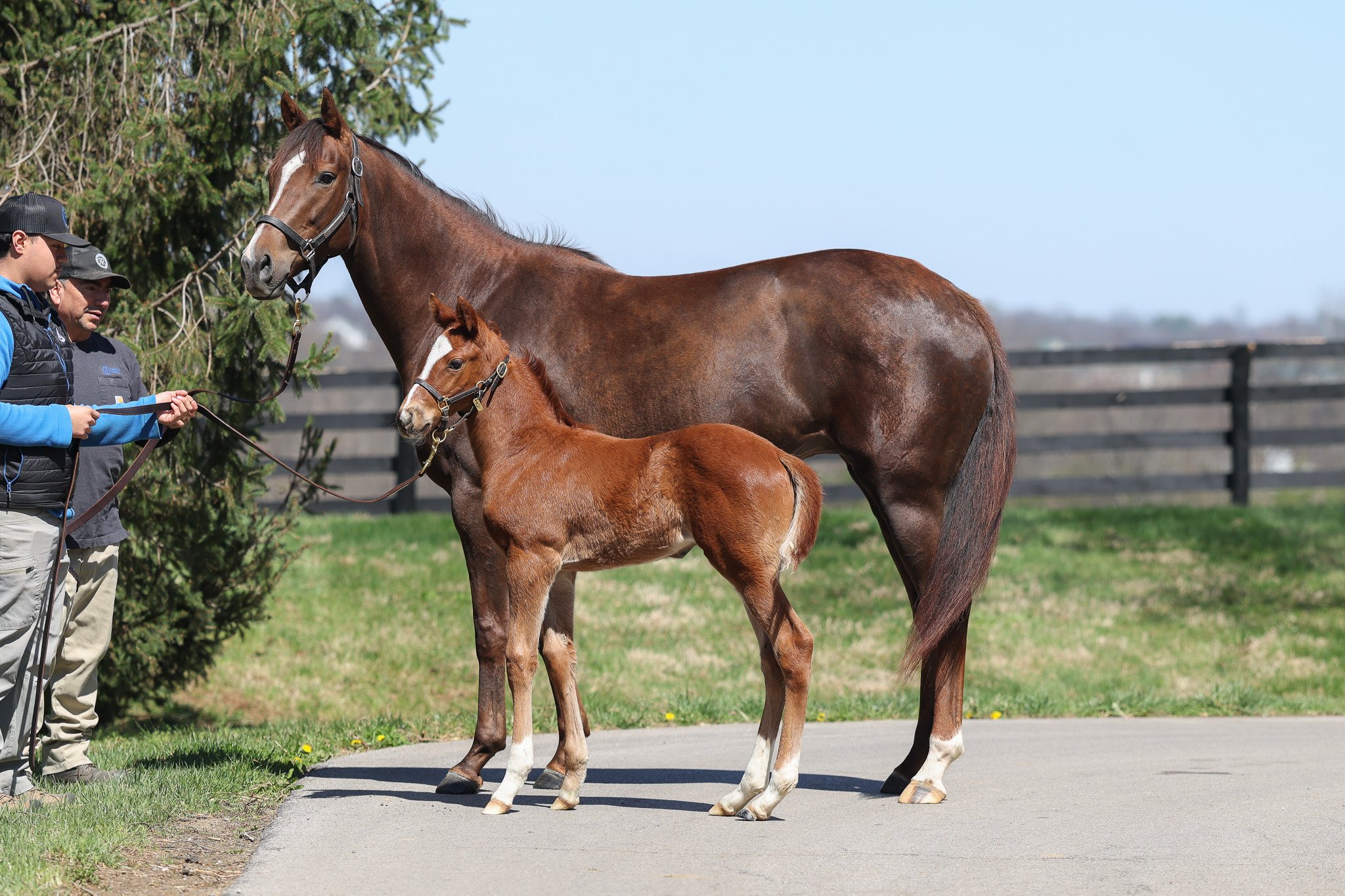 Doppelganger / Her Holy Name