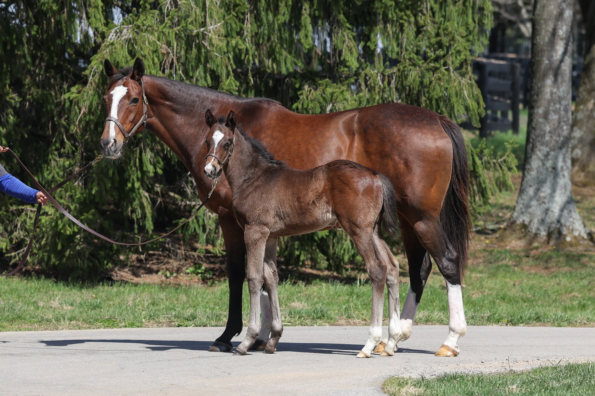 Not This Time / Purely Priceless (IRE)