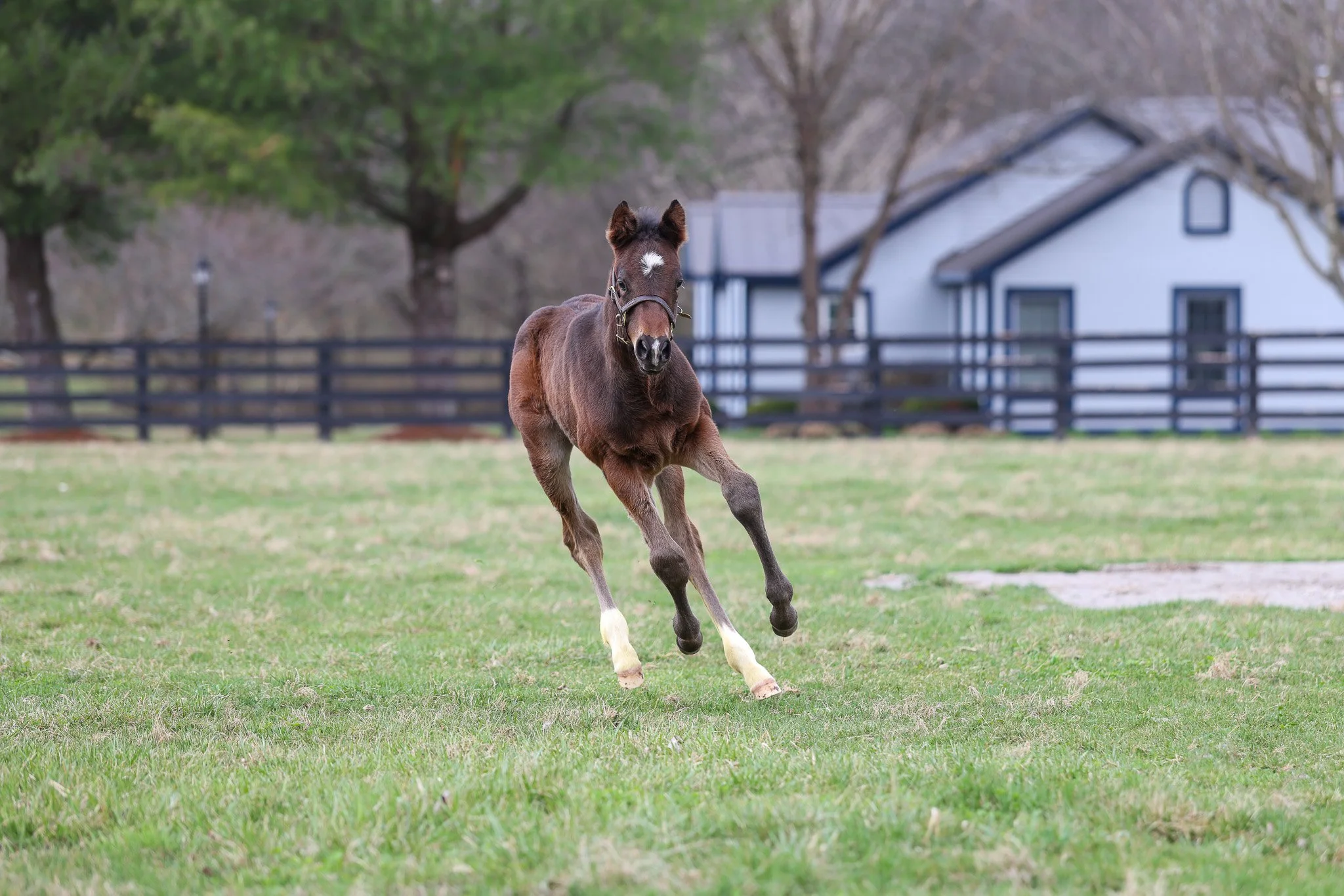 26 Forbidden Nectar PP 3.10.26  .2.jpg