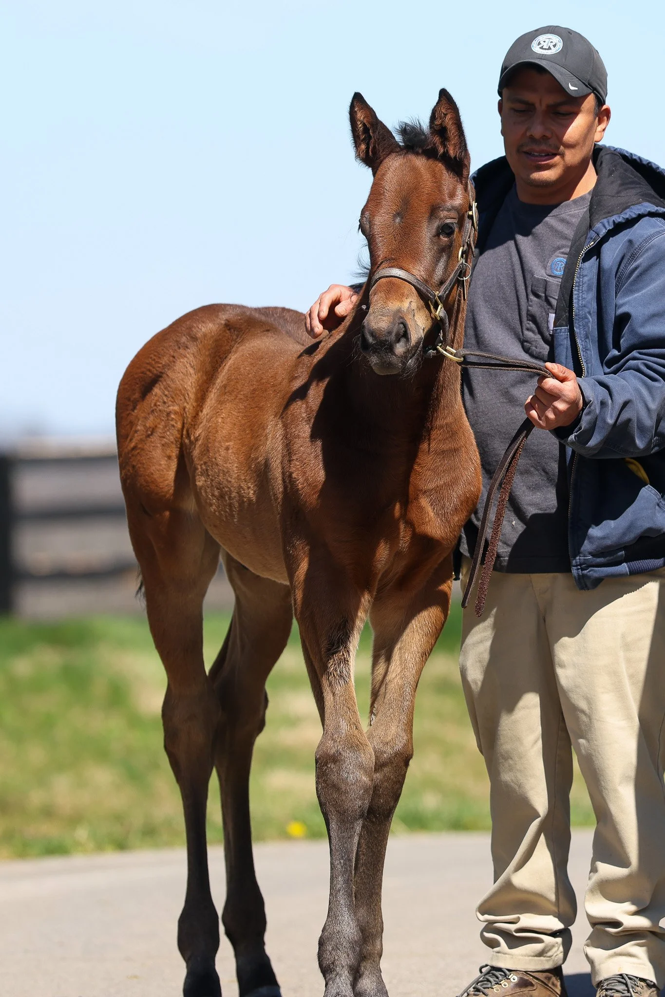 26 Russiarussiarussia HS 3.24.26.jpg