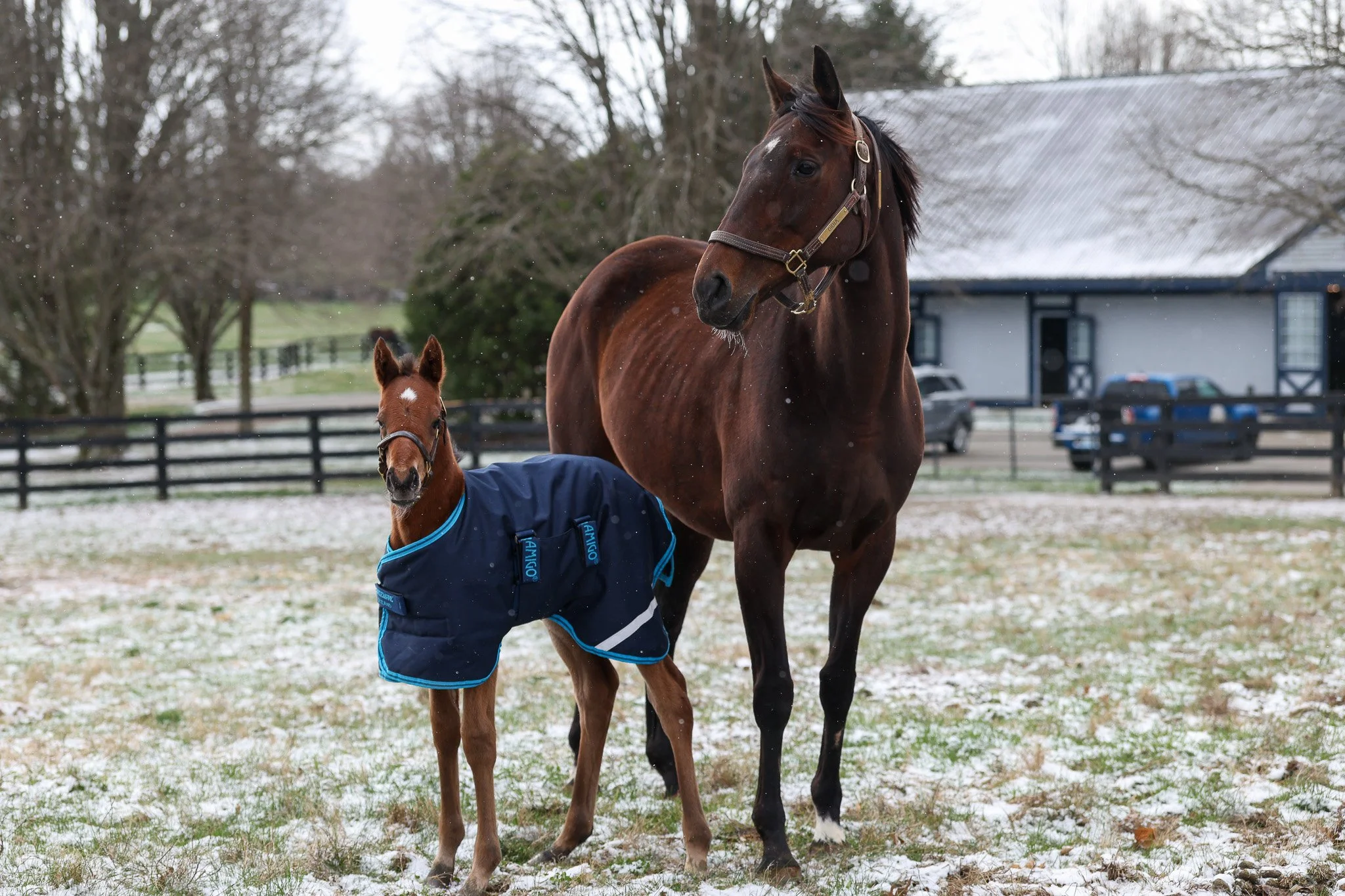 26 Didia PP 3.17.26  6.jpg