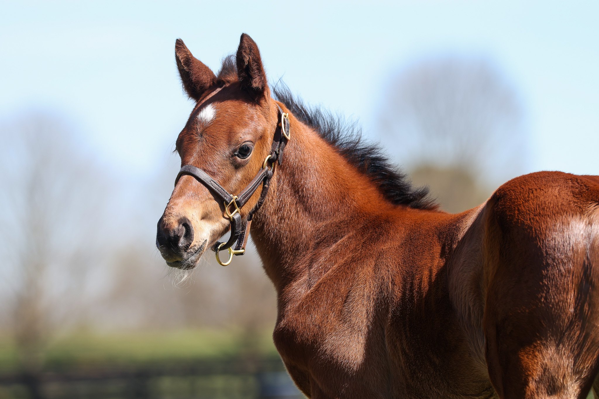 26 Didia PP 3.24.26. 3.jpg