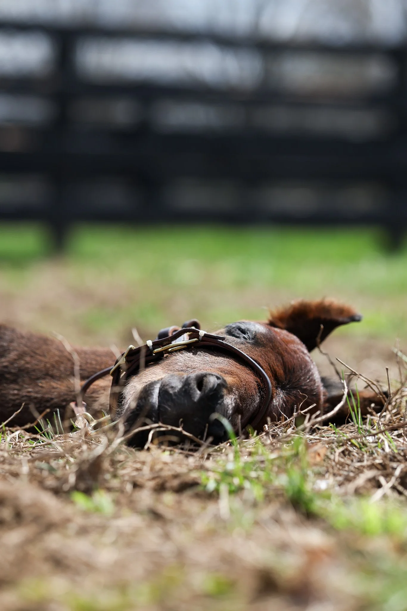 26 Charged Temp PP 3.30.26  2.jpg