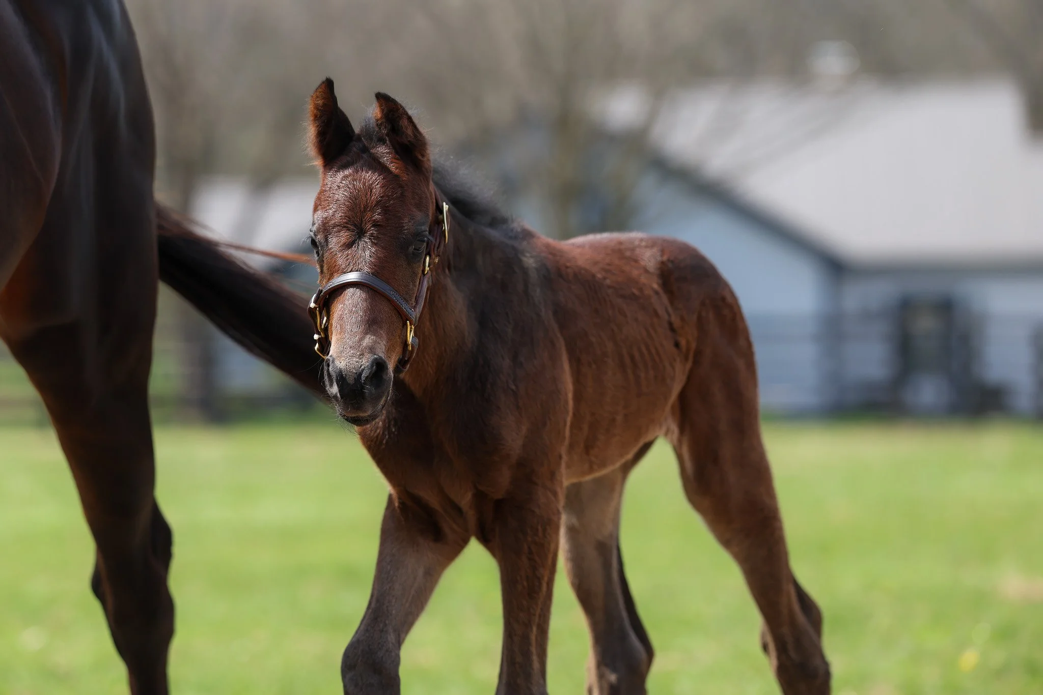 26 Charged Temp PP 3.30.26  3.jpg