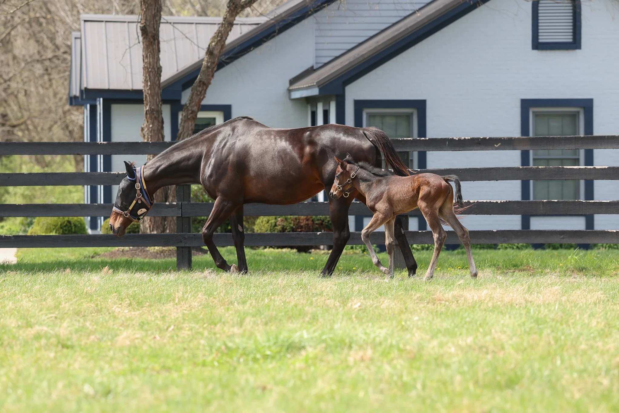 26 Charged Temp PP 3.30.26  5.jpg