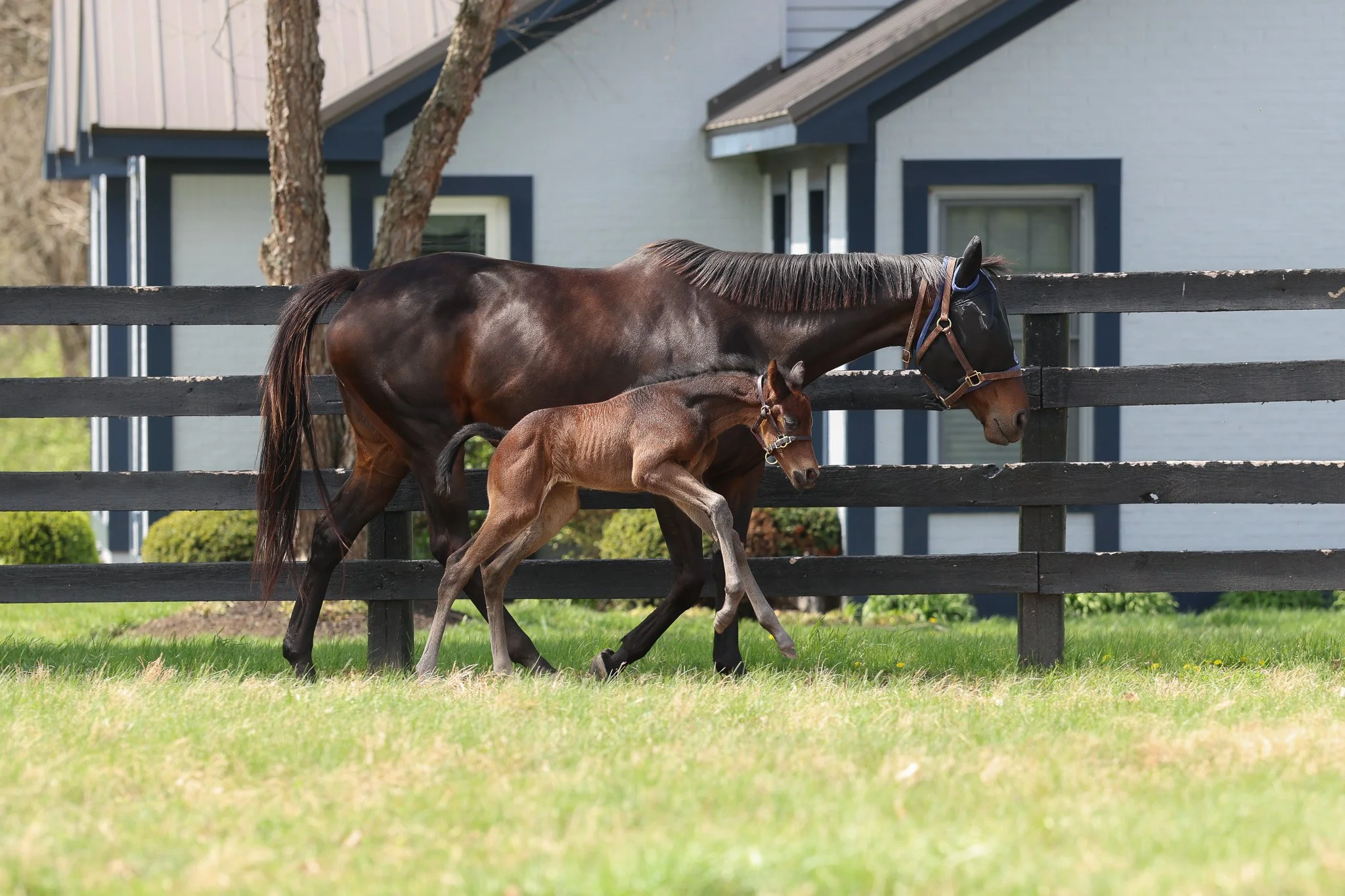 26 Charged Temp PP 3.30.26  6.jpg