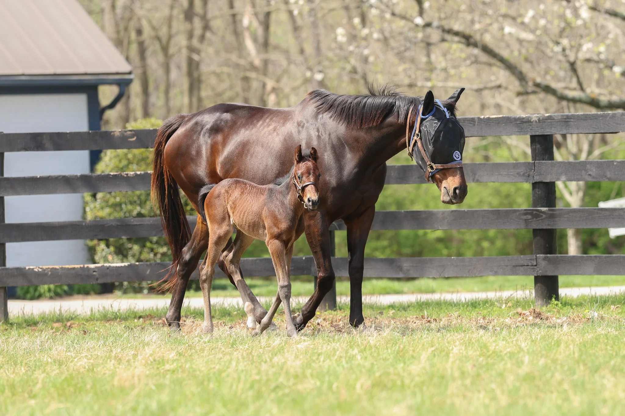 26 Charged Temp PP 3.30.26  7.jpg