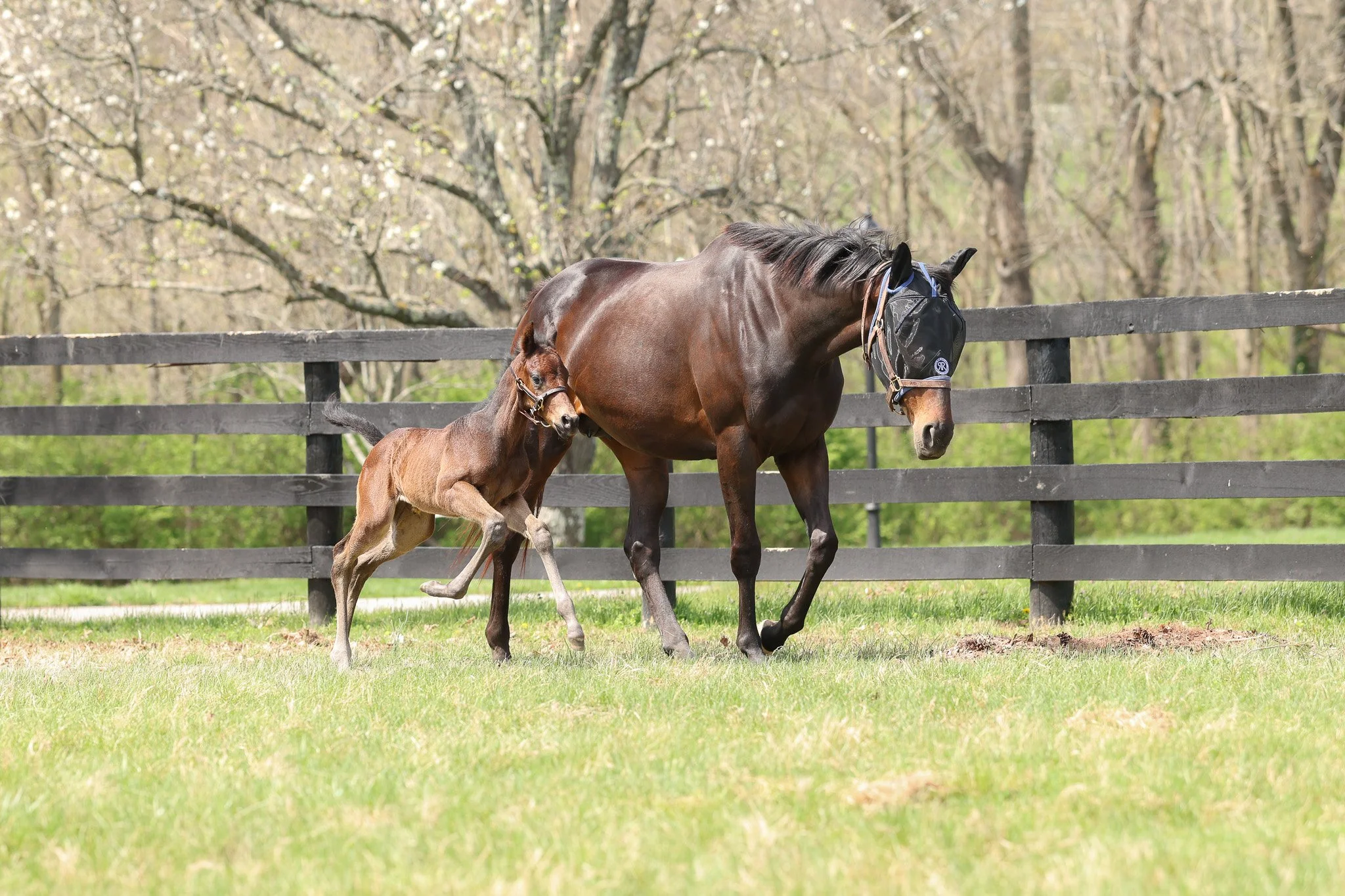 26 Charged Temp PP 3.30.26  8.jpg