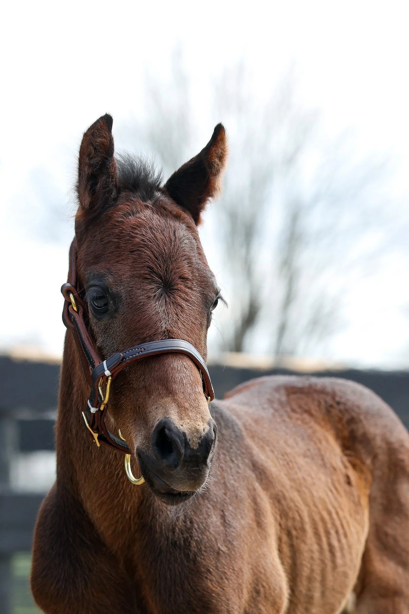 26 Charged Temp PP 3.30.26  9.jpg