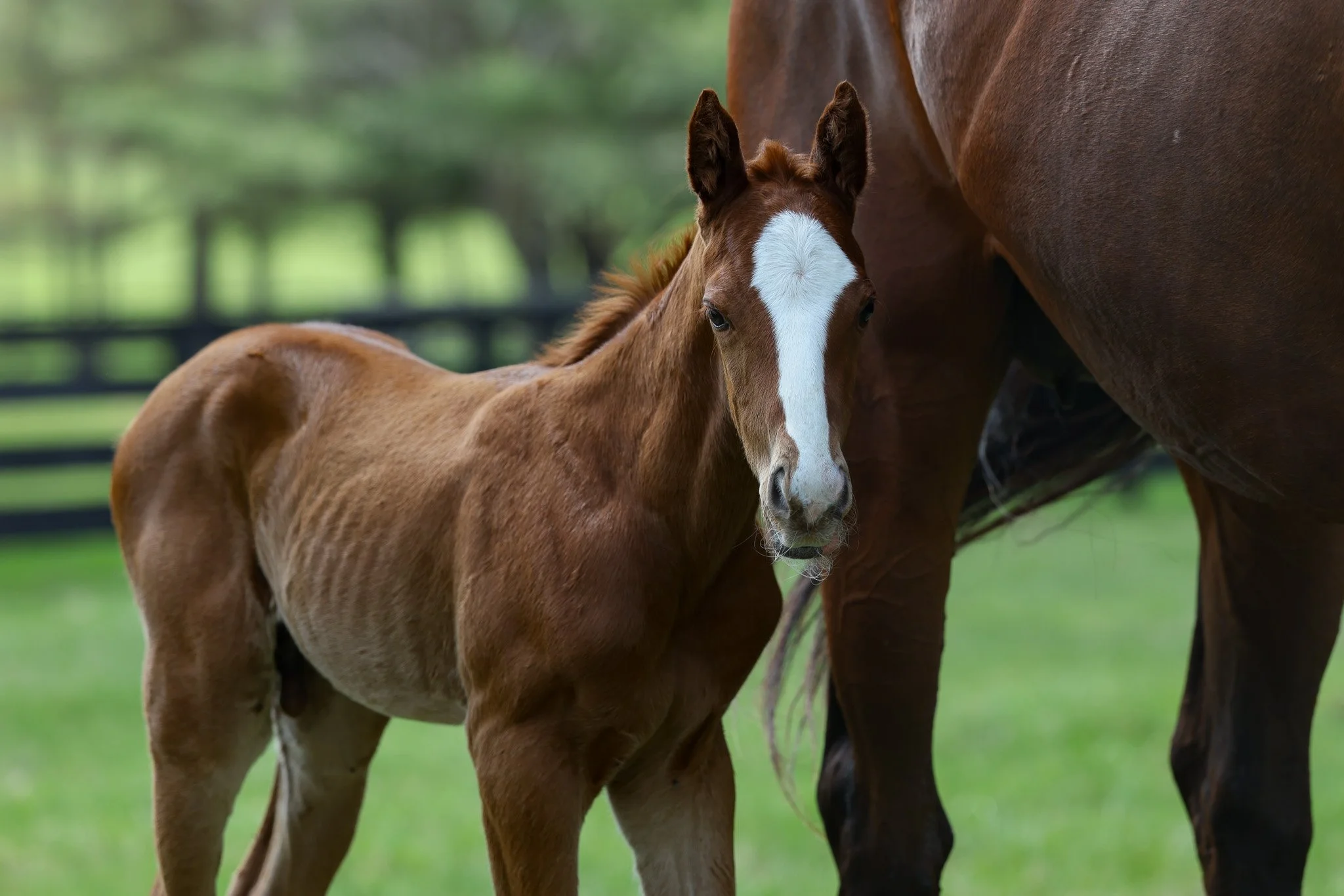 26 Touching Beauty PP 3.30.26  2.jpg