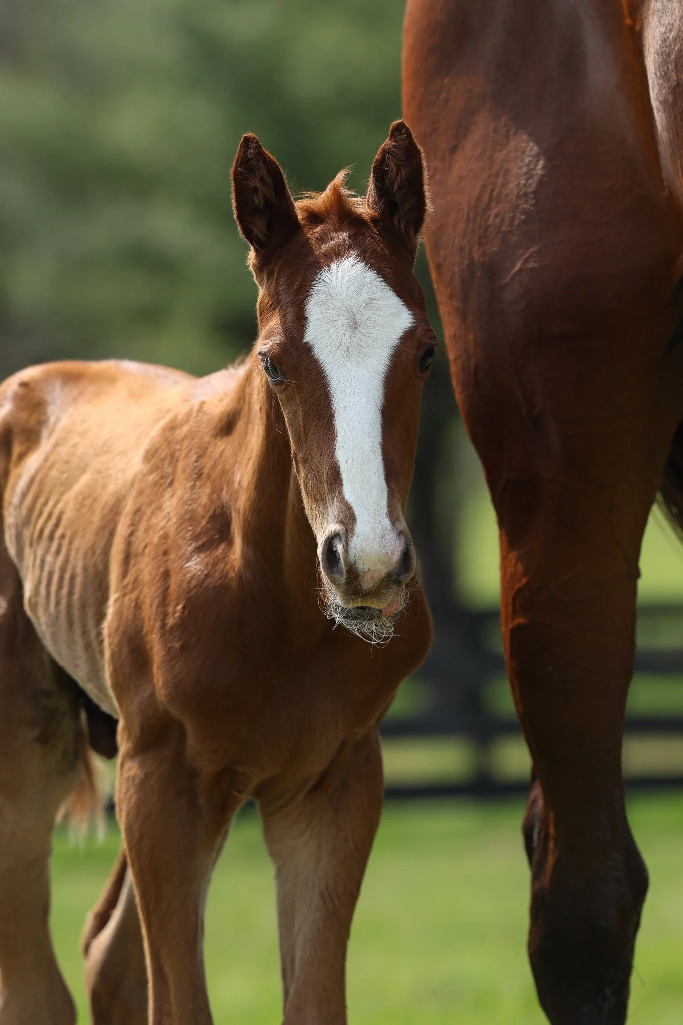 26 Touching Beauty PP 3.30.26  3.jpg