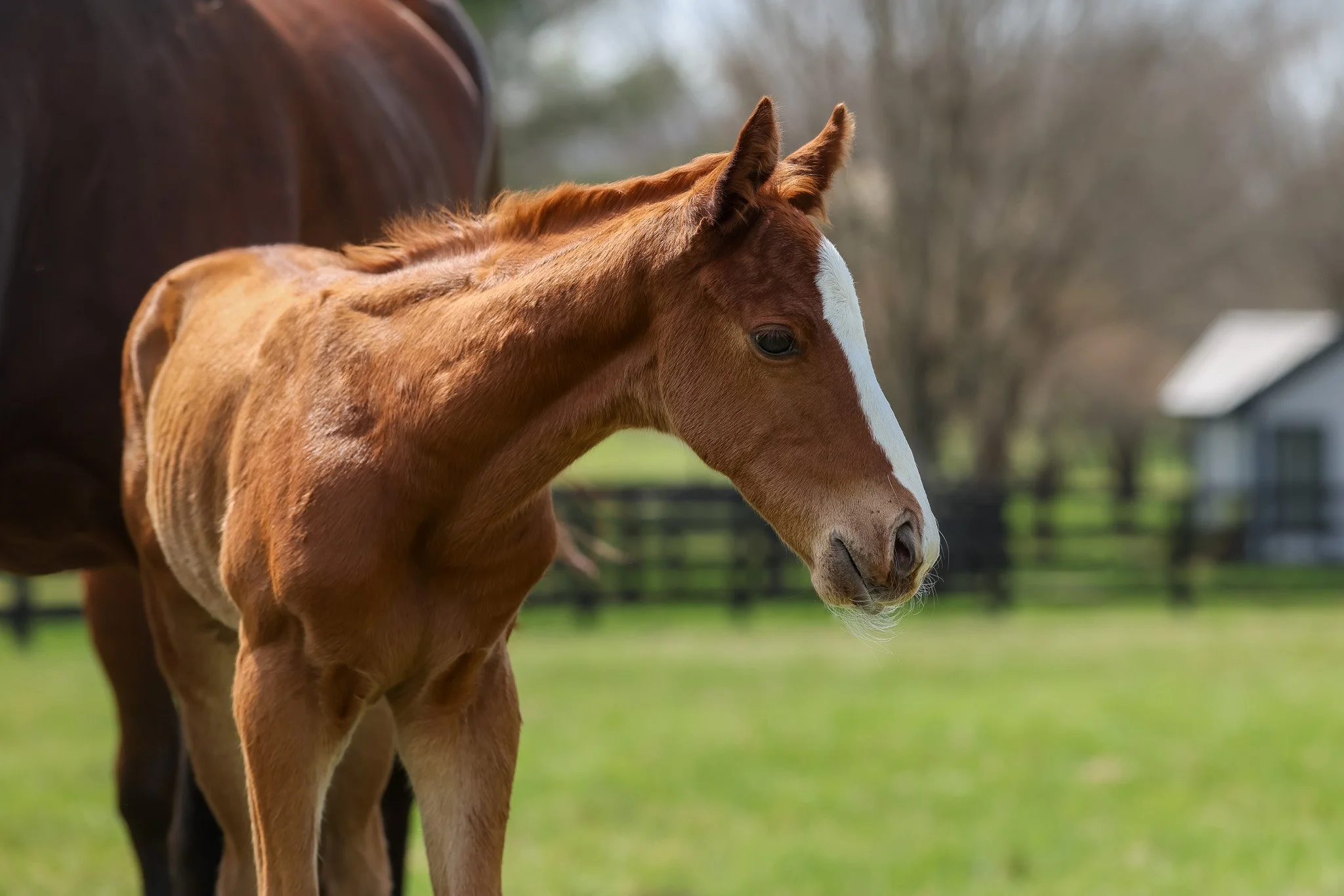 26 Touching Beauty PP 3.30.26  4.jpg