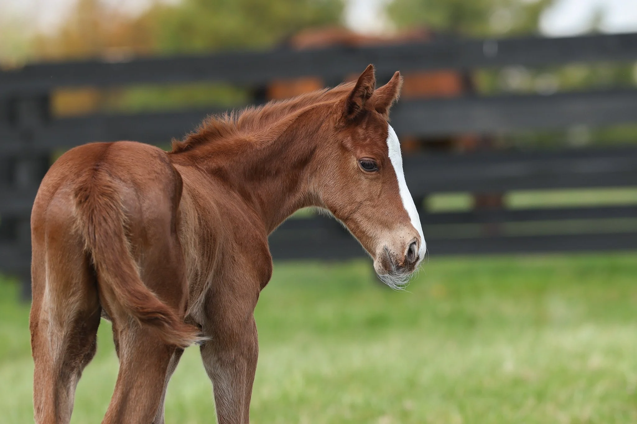 26 Touching Beauty PP 3.30.26  6.jpg