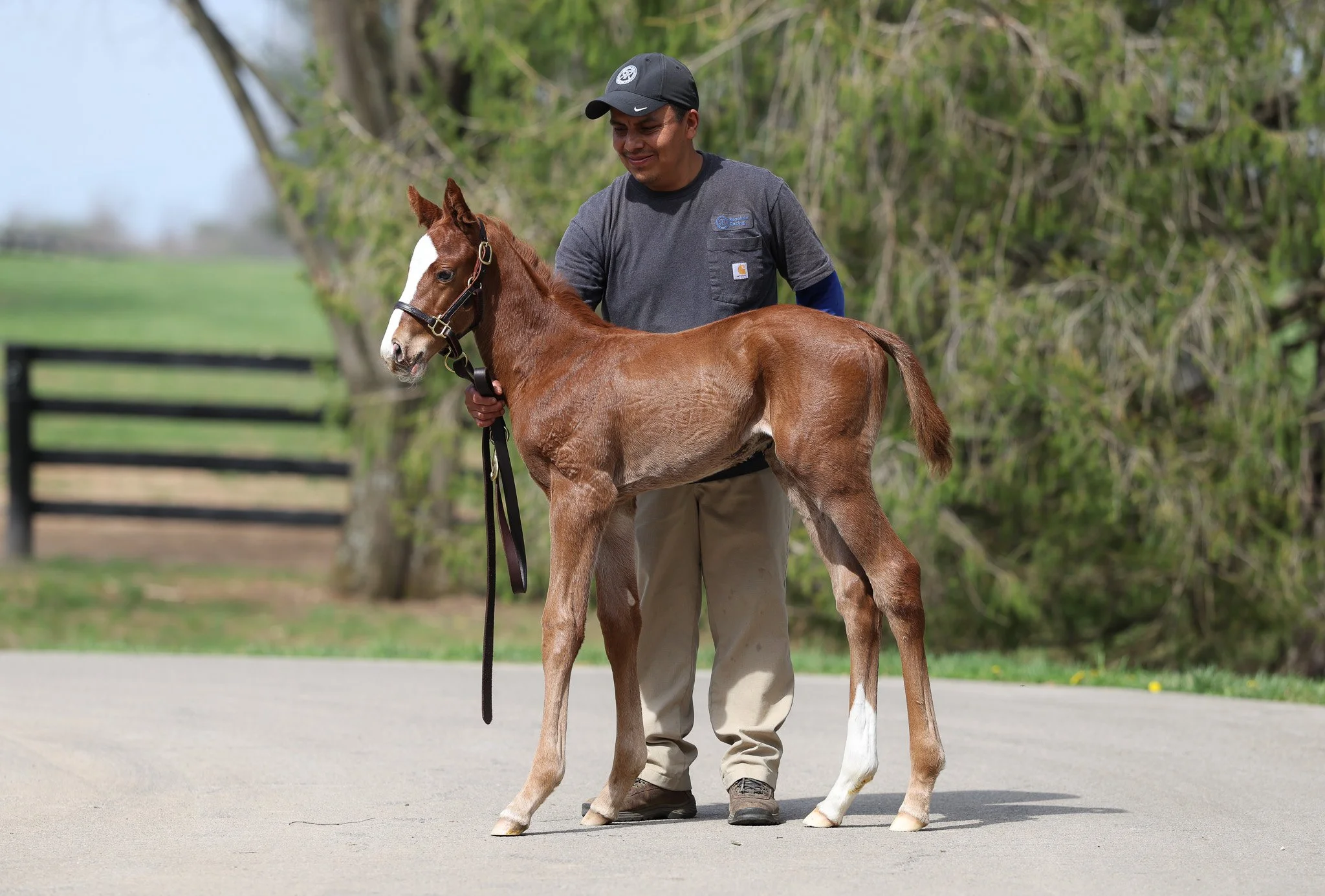 Justify / Touching Beauty