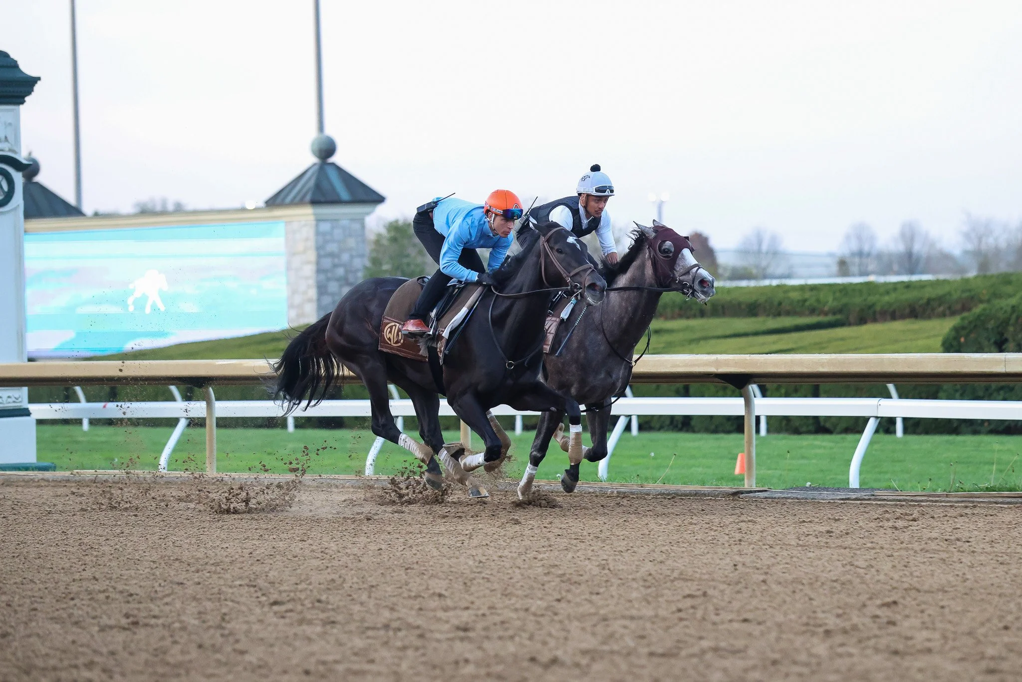 La Rascasse TR 4.4.26  2.jpg