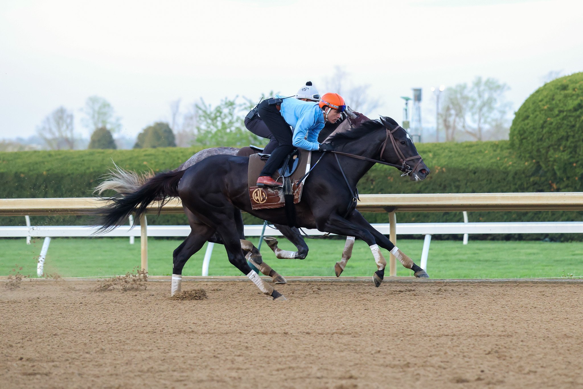 La Rascasse TR 4.4.26  3.jpg