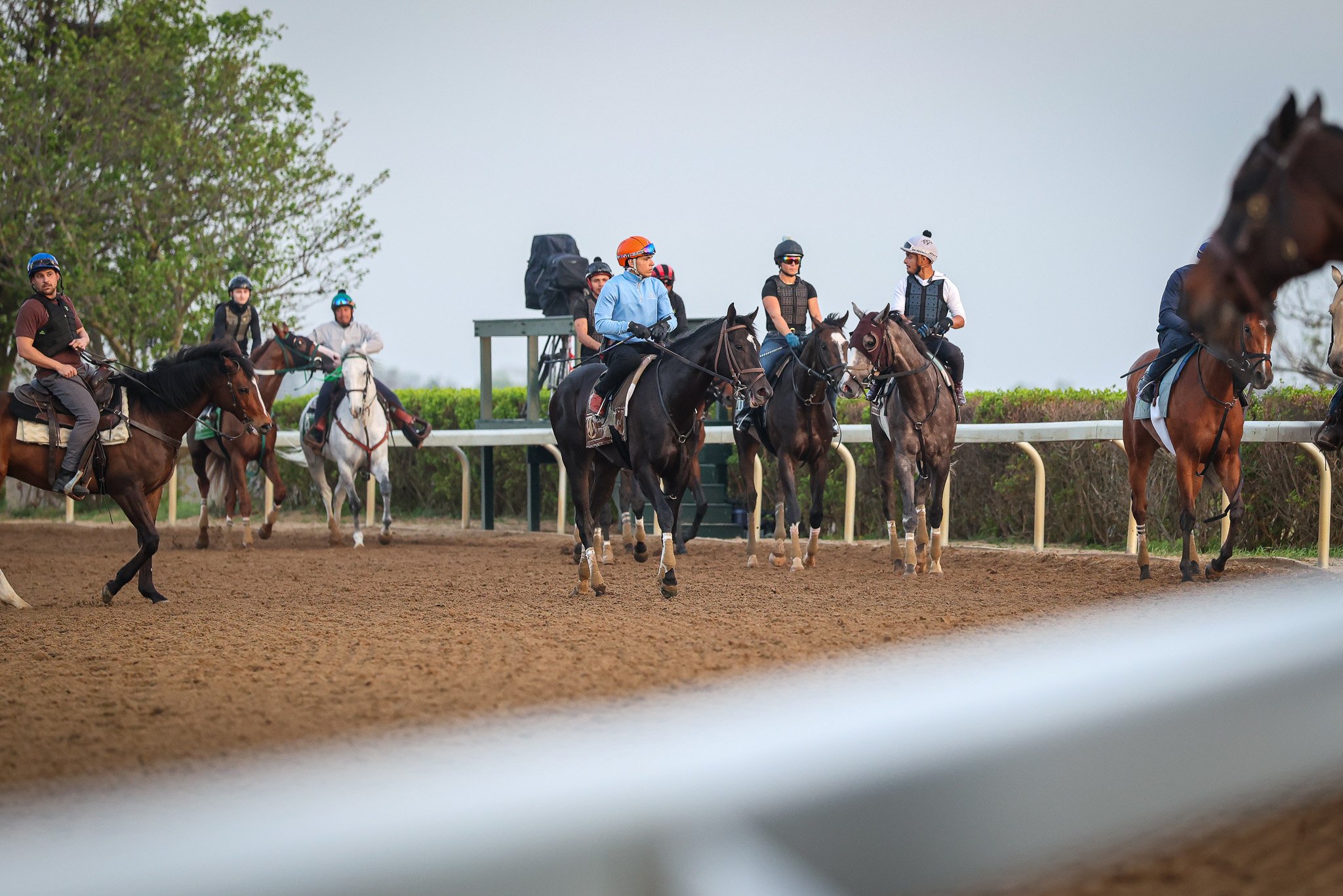 La Rascasse TR 4.4.26  4.jpg