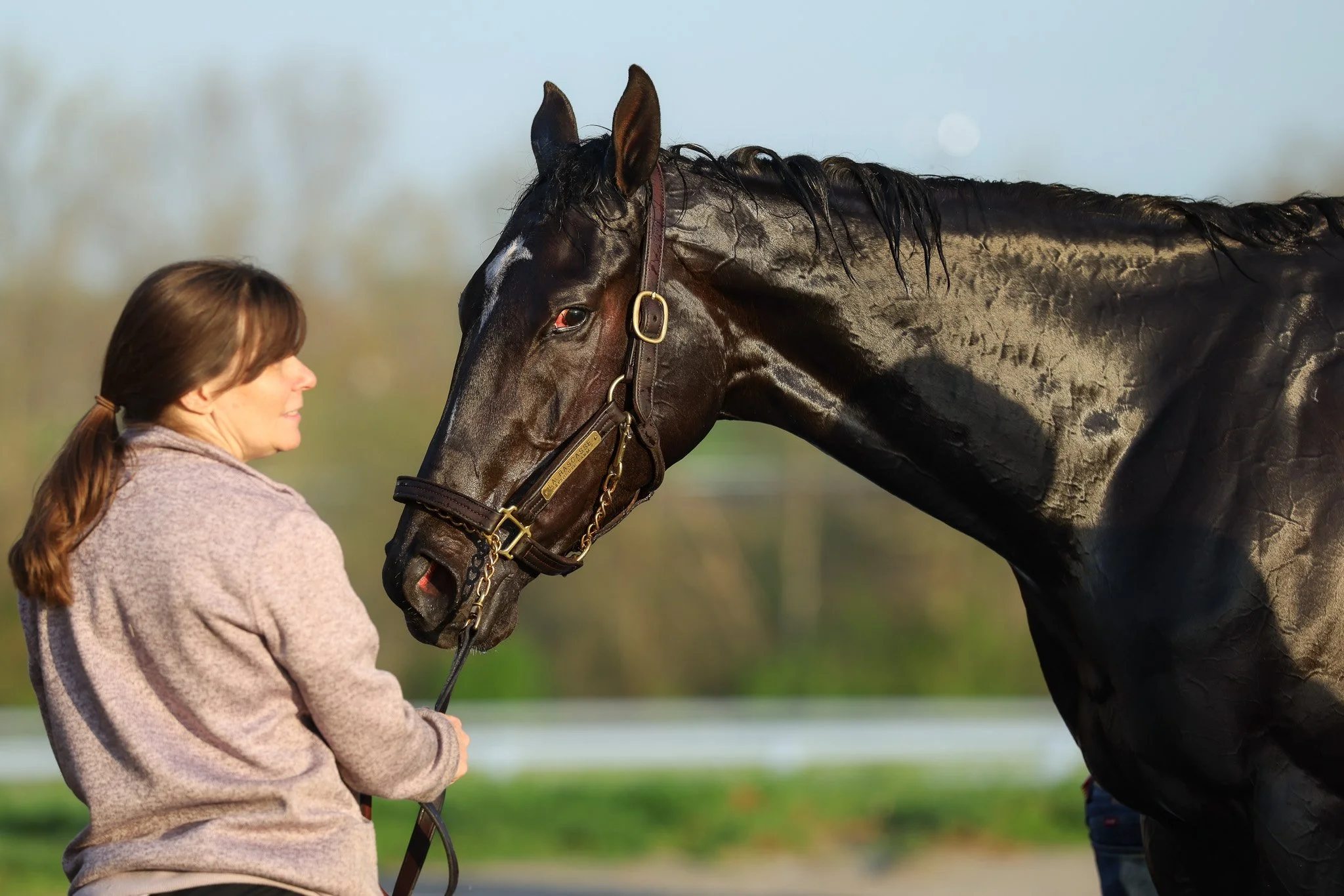 La Rascasse TR 4.4.26  11.jpg