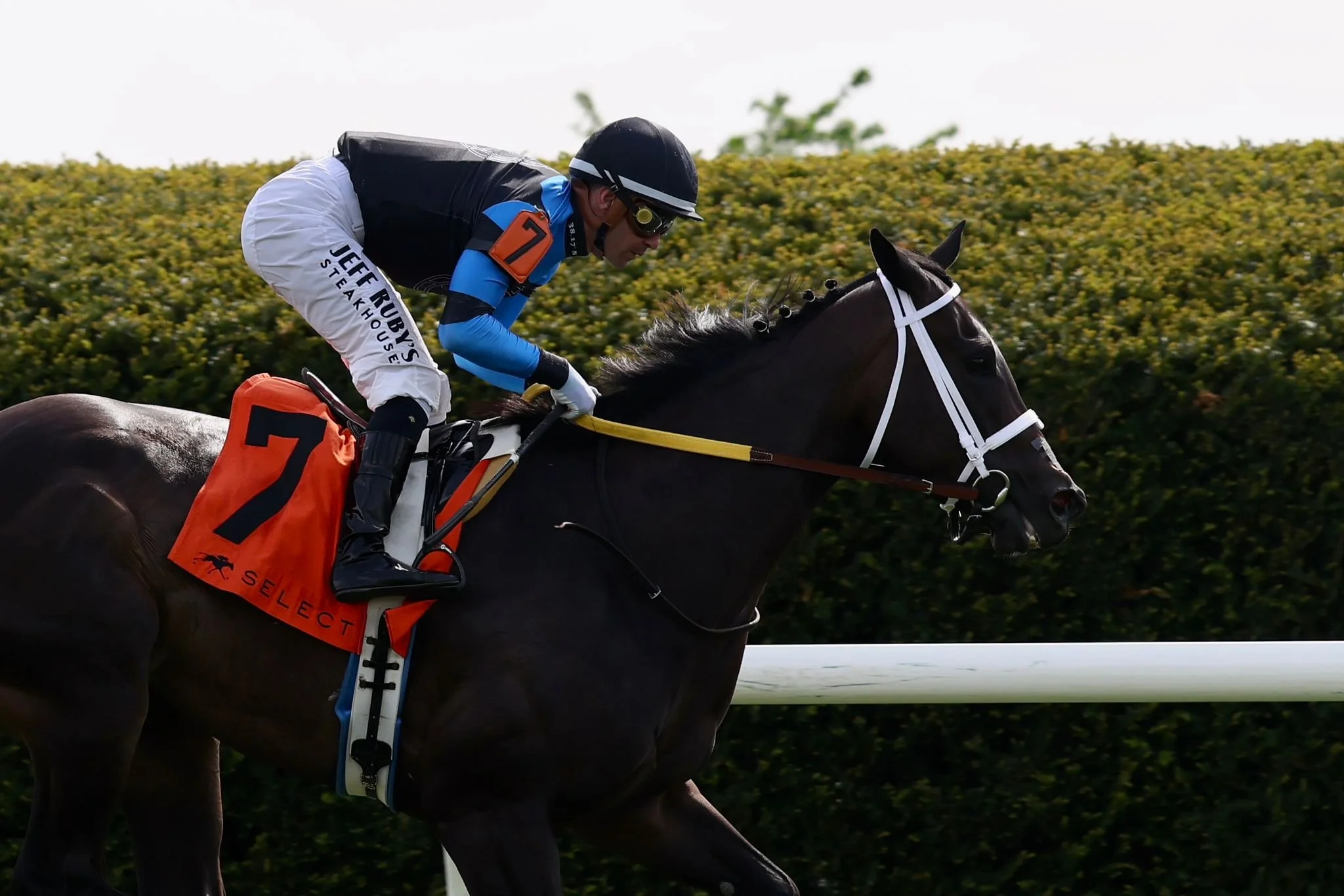 G2 Giant's Causeway S.
