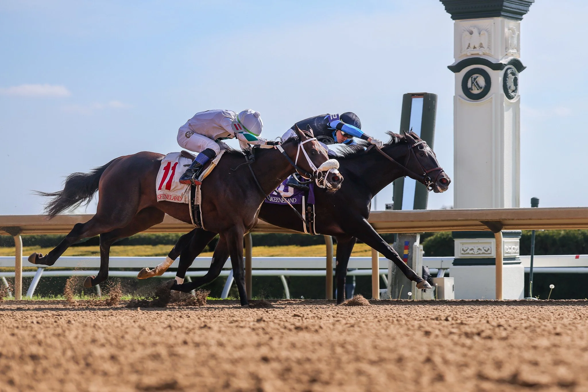 La Rascasse Debuts A Winner and TDN Rising Star