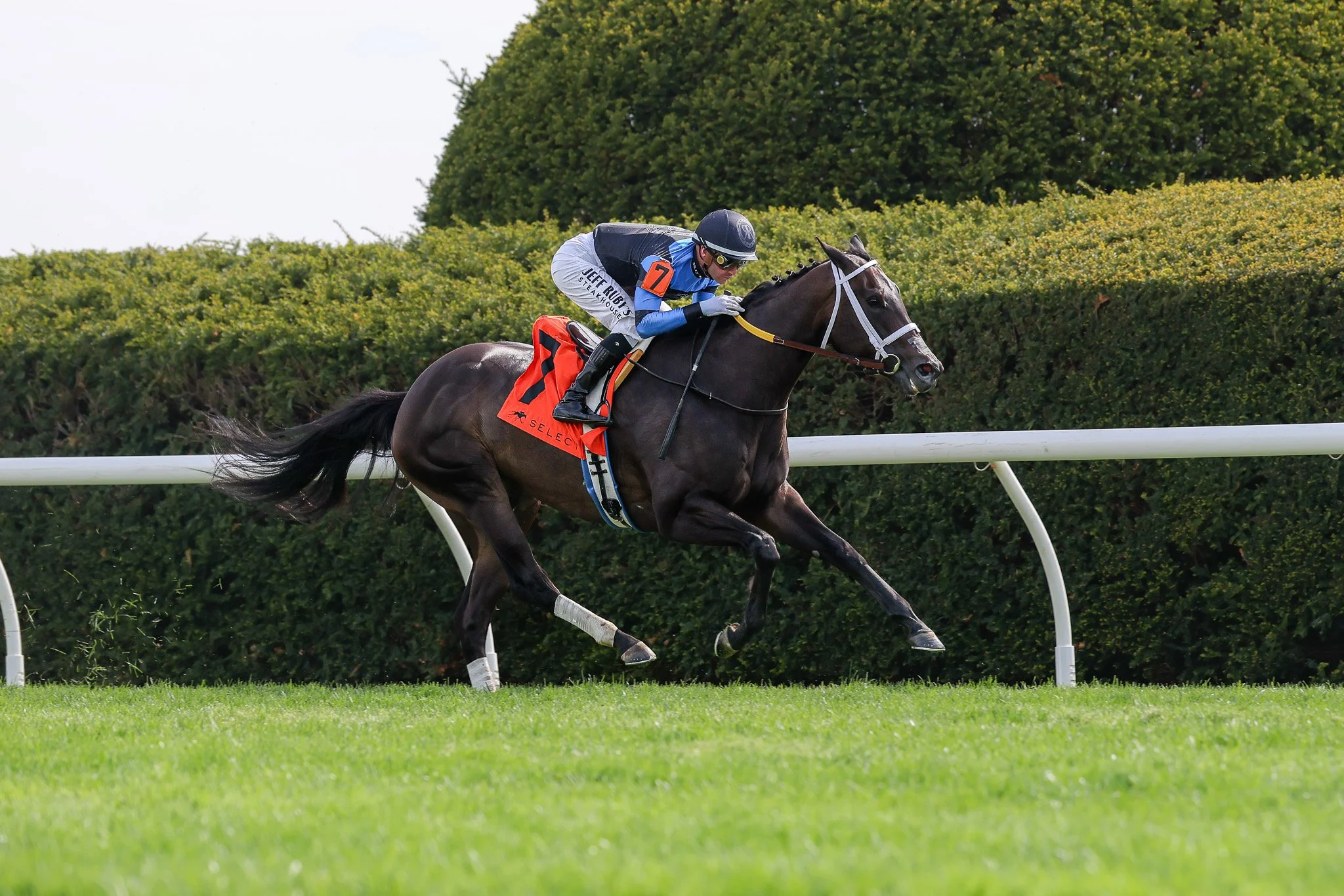 It's Finally Her Time: In Our Time Resolutely Claims Giant's Causeway