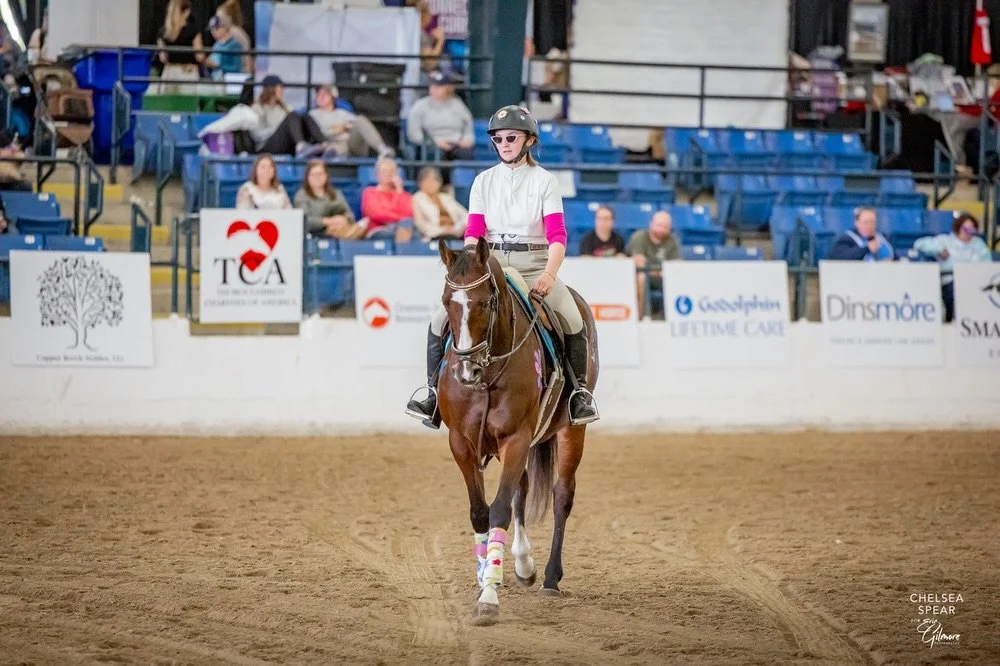 Poker for Ponies Beneficiary Charity Volume 8: SECOND CHANCE THOROUGHBREDS 🏇

Located in Spencer, NY, Second Chance TB has been in operations for over 10 years specializing in retraining retired racehorses for new homes and careers after noticing a 